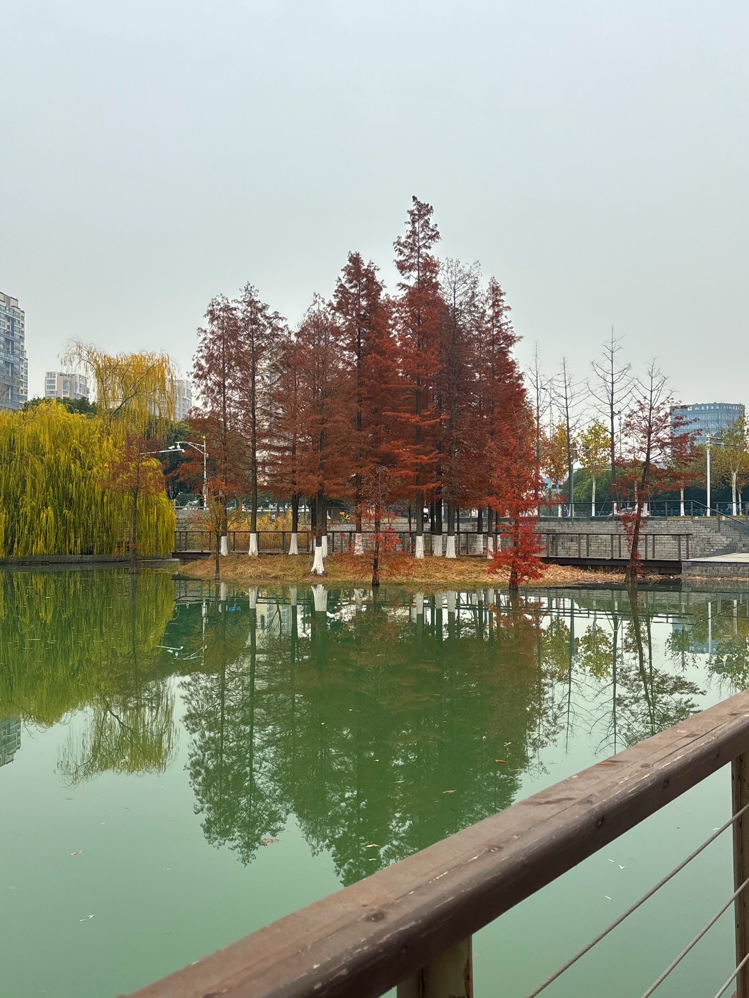 江宁(杨家圩)市民公园旅行图片 1