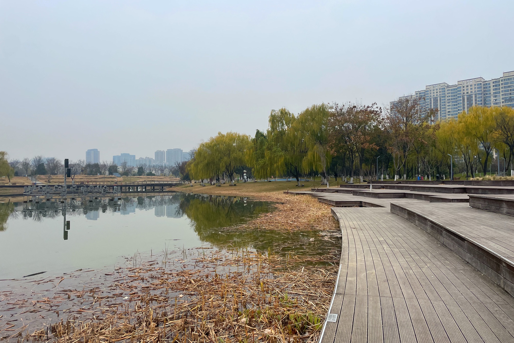 江宁(杨家圩)市民公园旅行图片 2