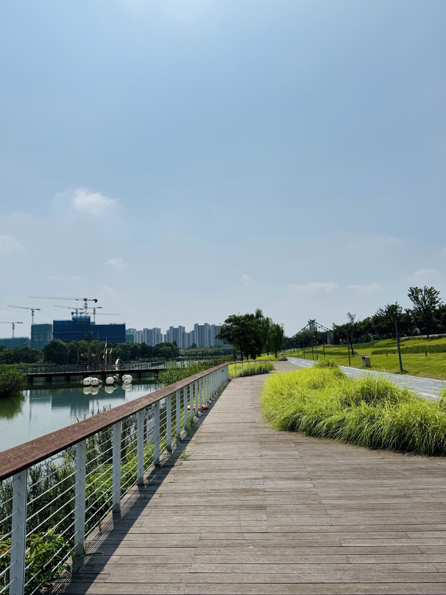 江宁(杨家圩)市民公园旅行图片 1