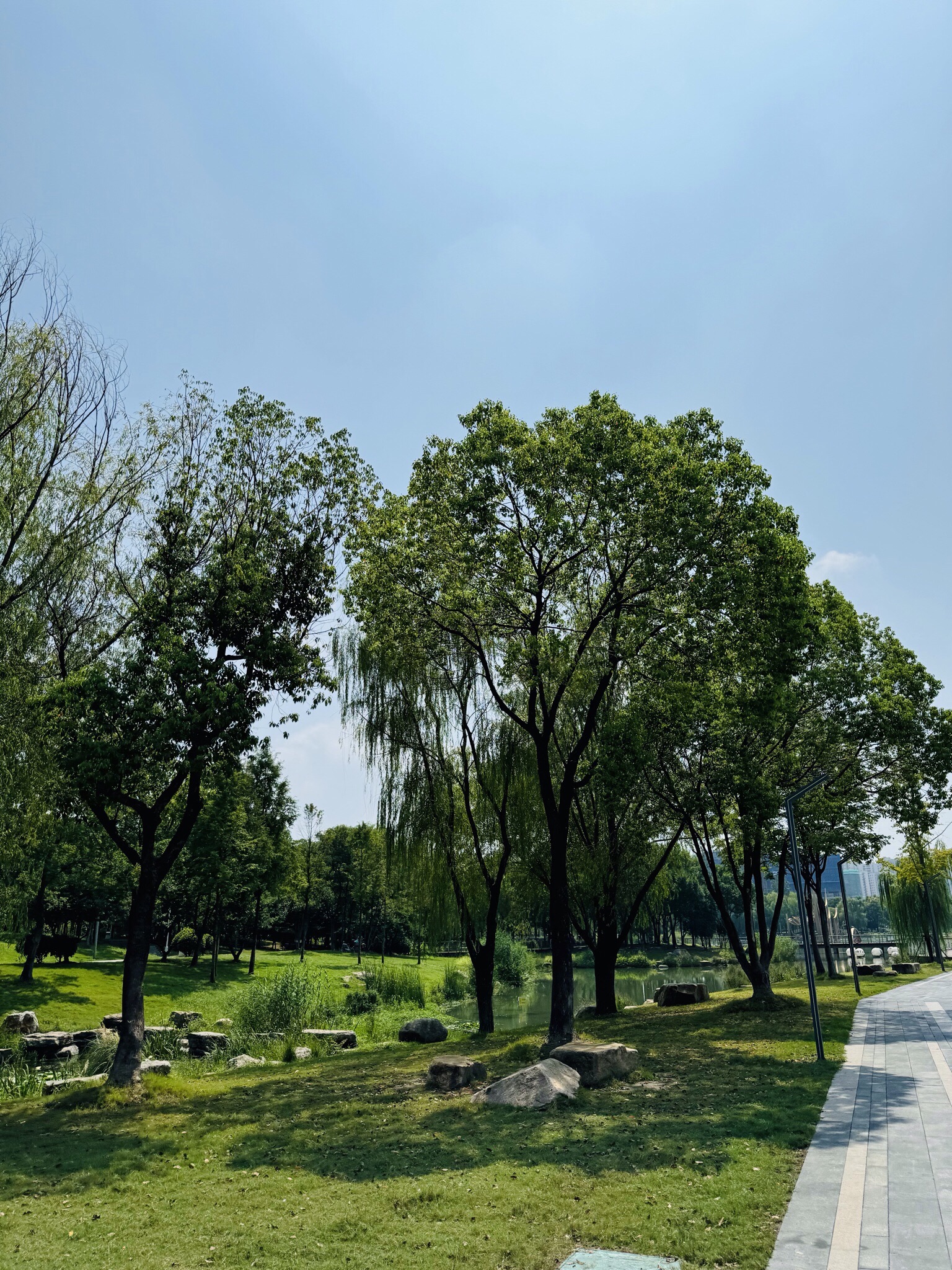 江宁(杨家圩)市民公园旅行图片 2