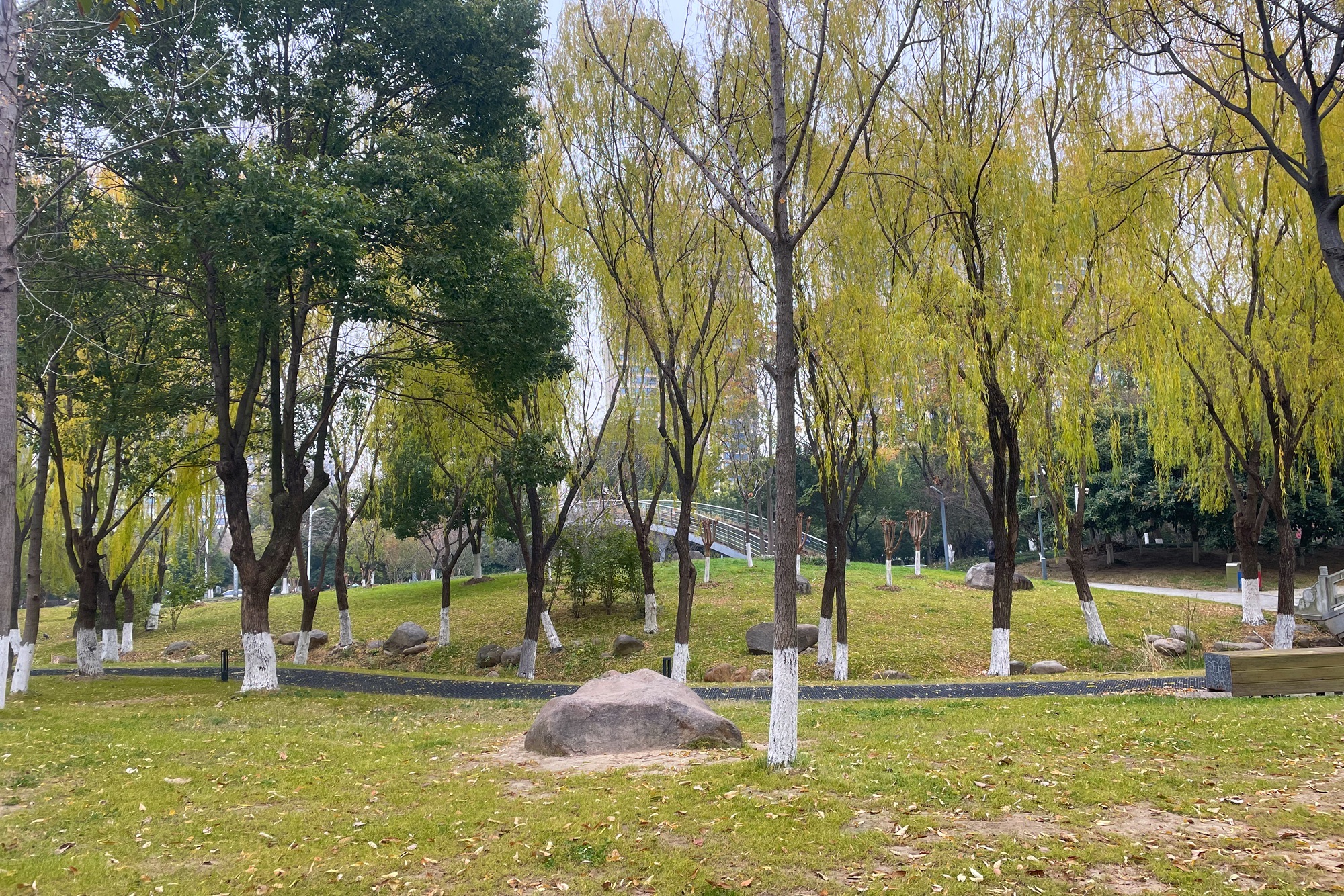 江宁(杨家圩)市民公园旅行图片 3