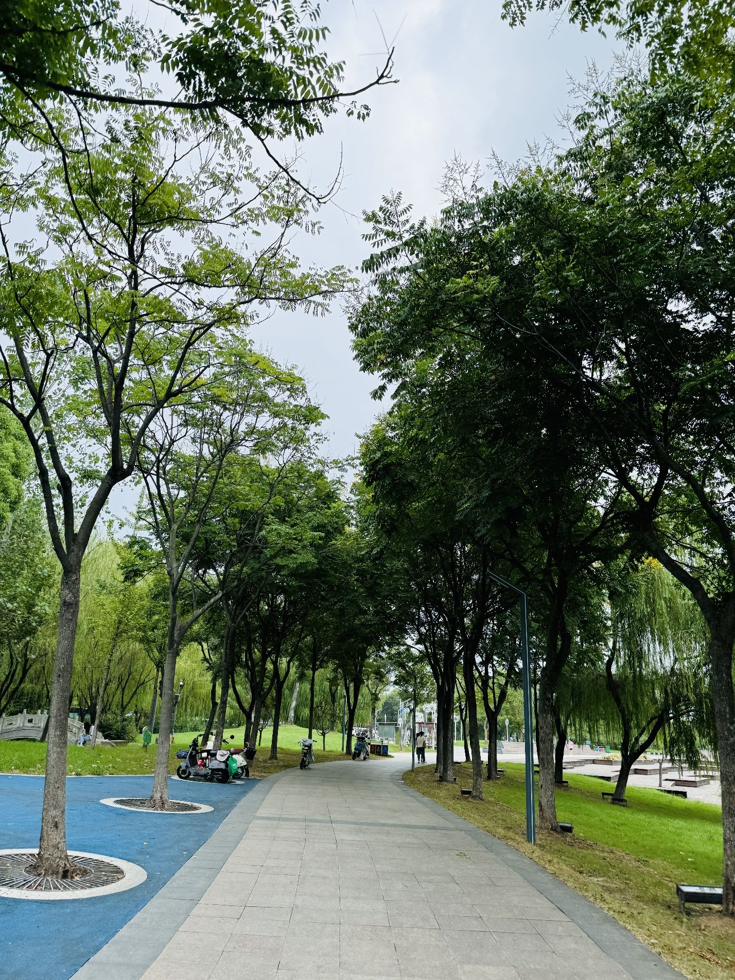 江宁(杨家圩)市民公园旅行图片 3
