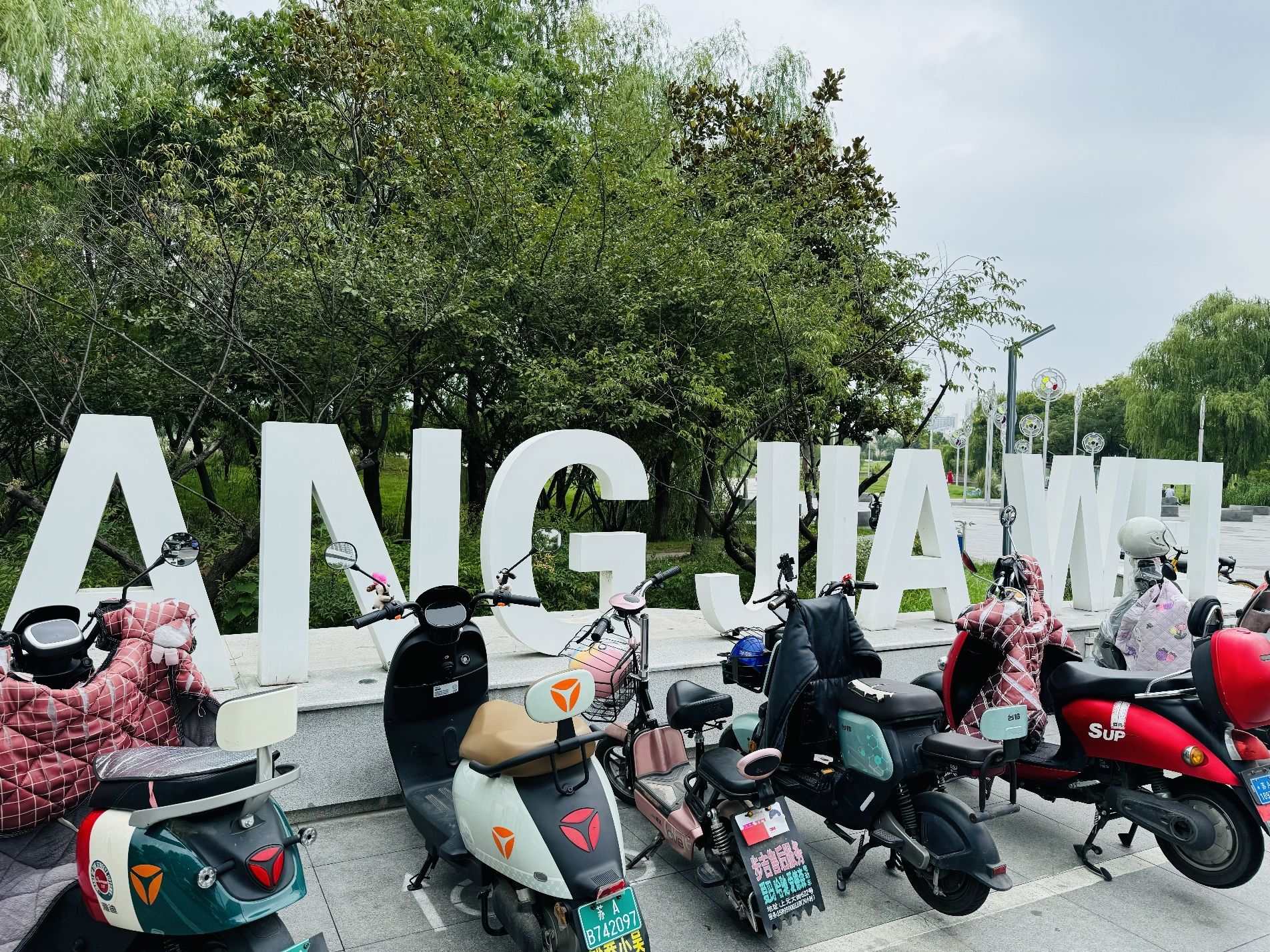 江宁(杨家圩)市民公园旅行图片 2