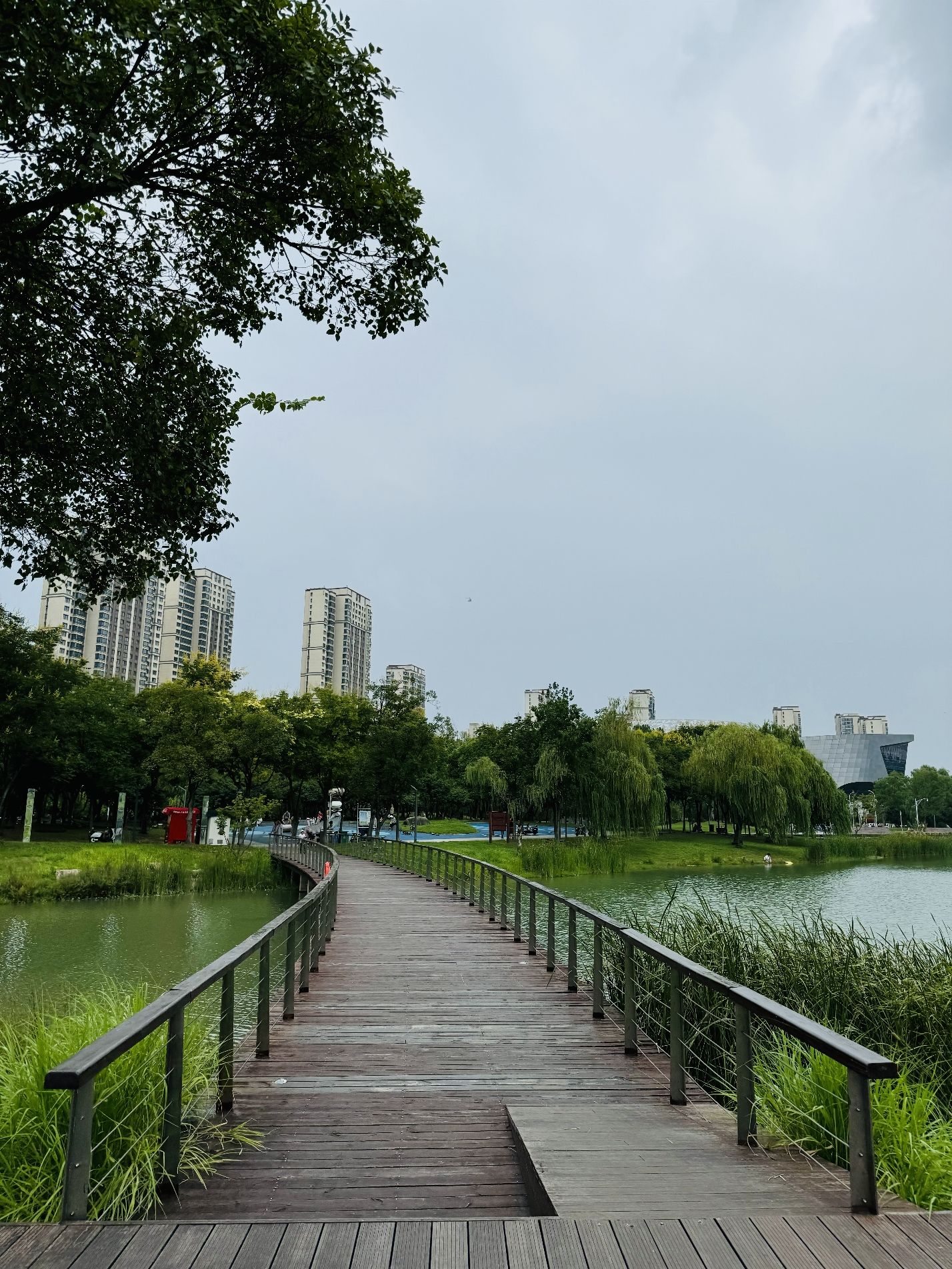 江宁(杨家圩)市民公园旅行图片 1