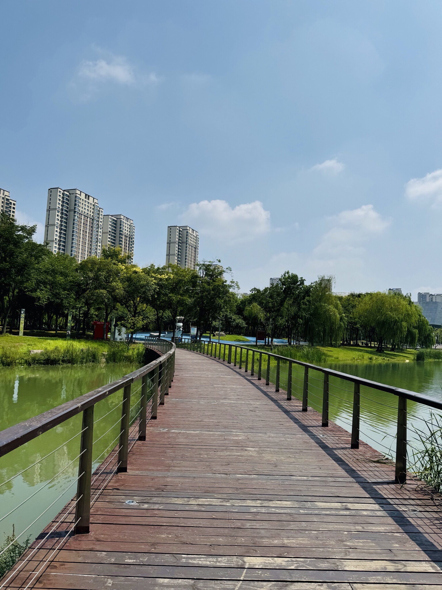 江宁(杨家圩)市民公园旅行图片 3