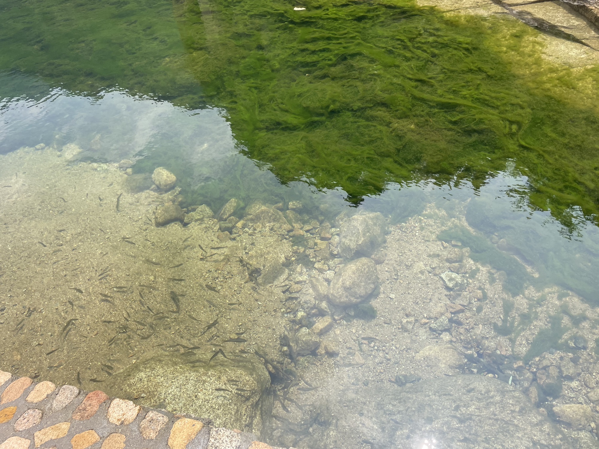 冰塘峪旅行图片 1