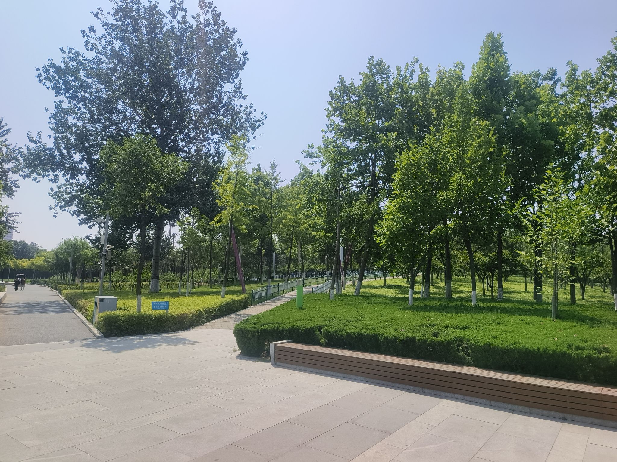 黄县林苑旅行图片 3