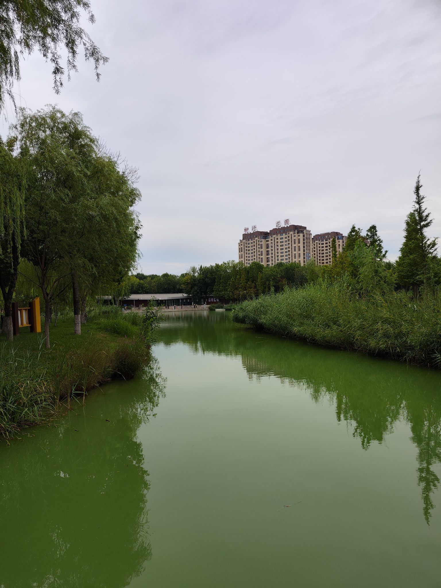 黄县林苑旅行图片 3