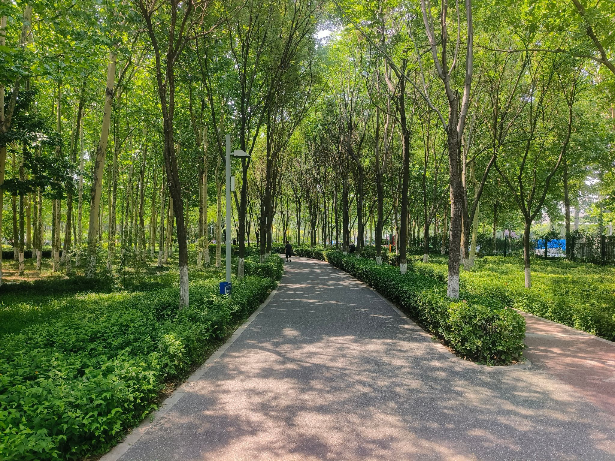 黄县林苑旅行图片 1