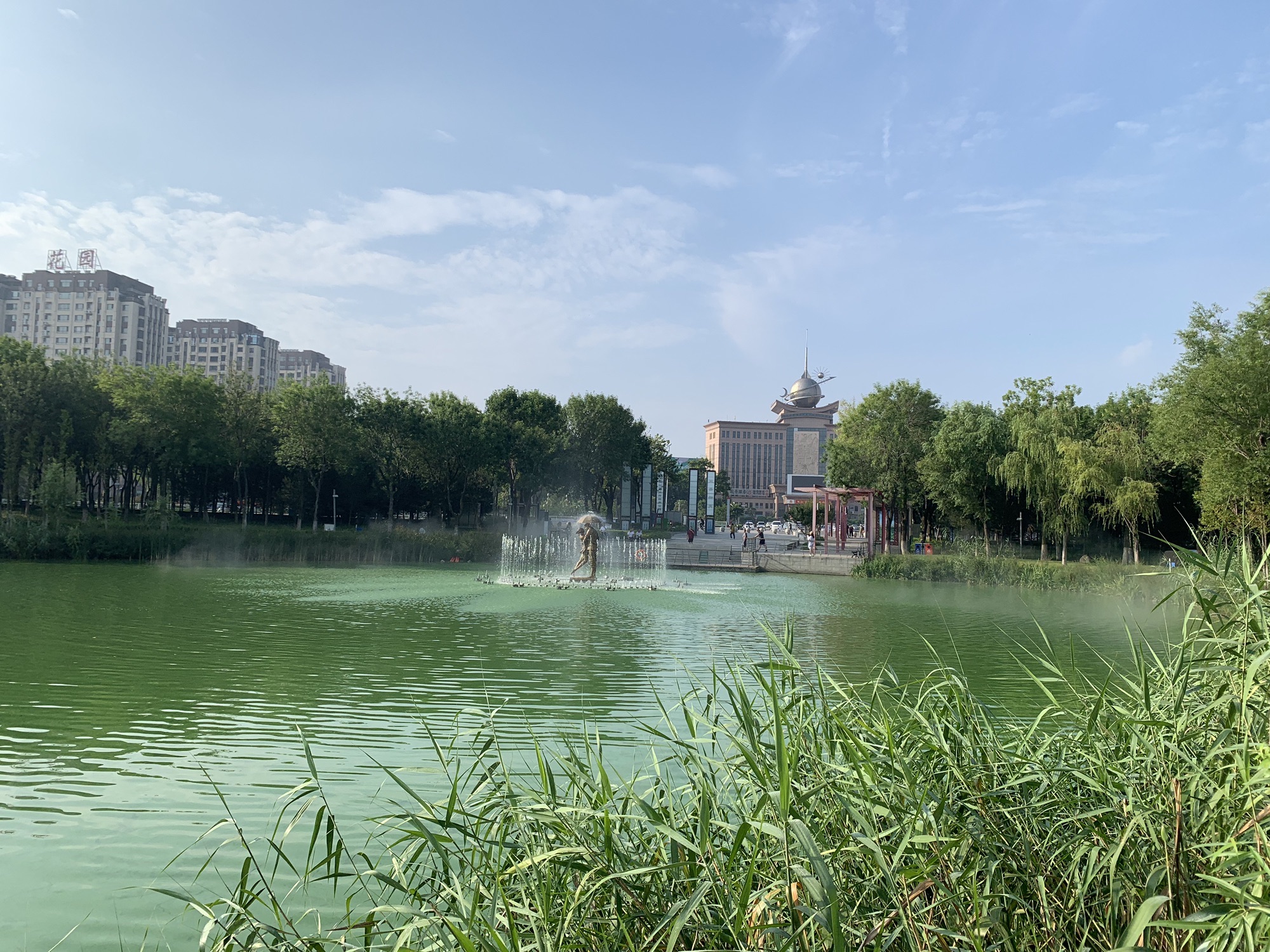 黄县林苑旅行图片 3