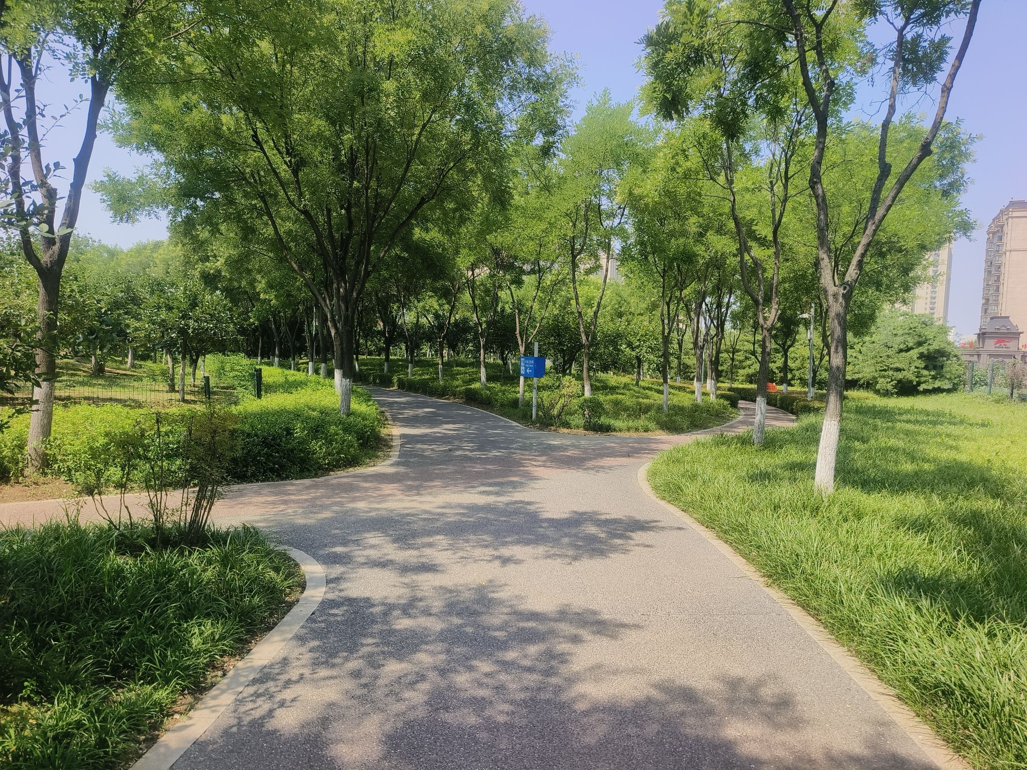 黄县林苑旅行图片 2