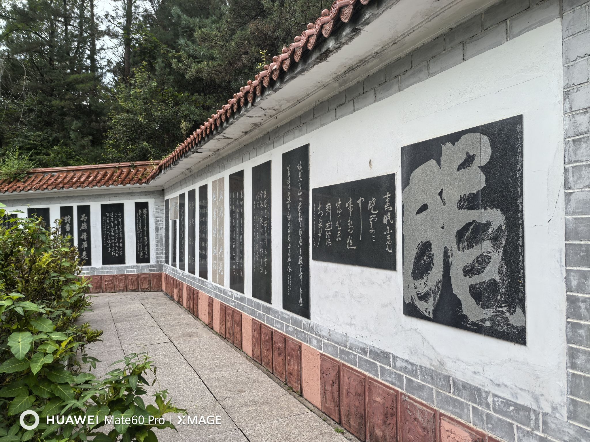 密山市北大荒书法长廊文化中心(暂停开放)旅行图片 2