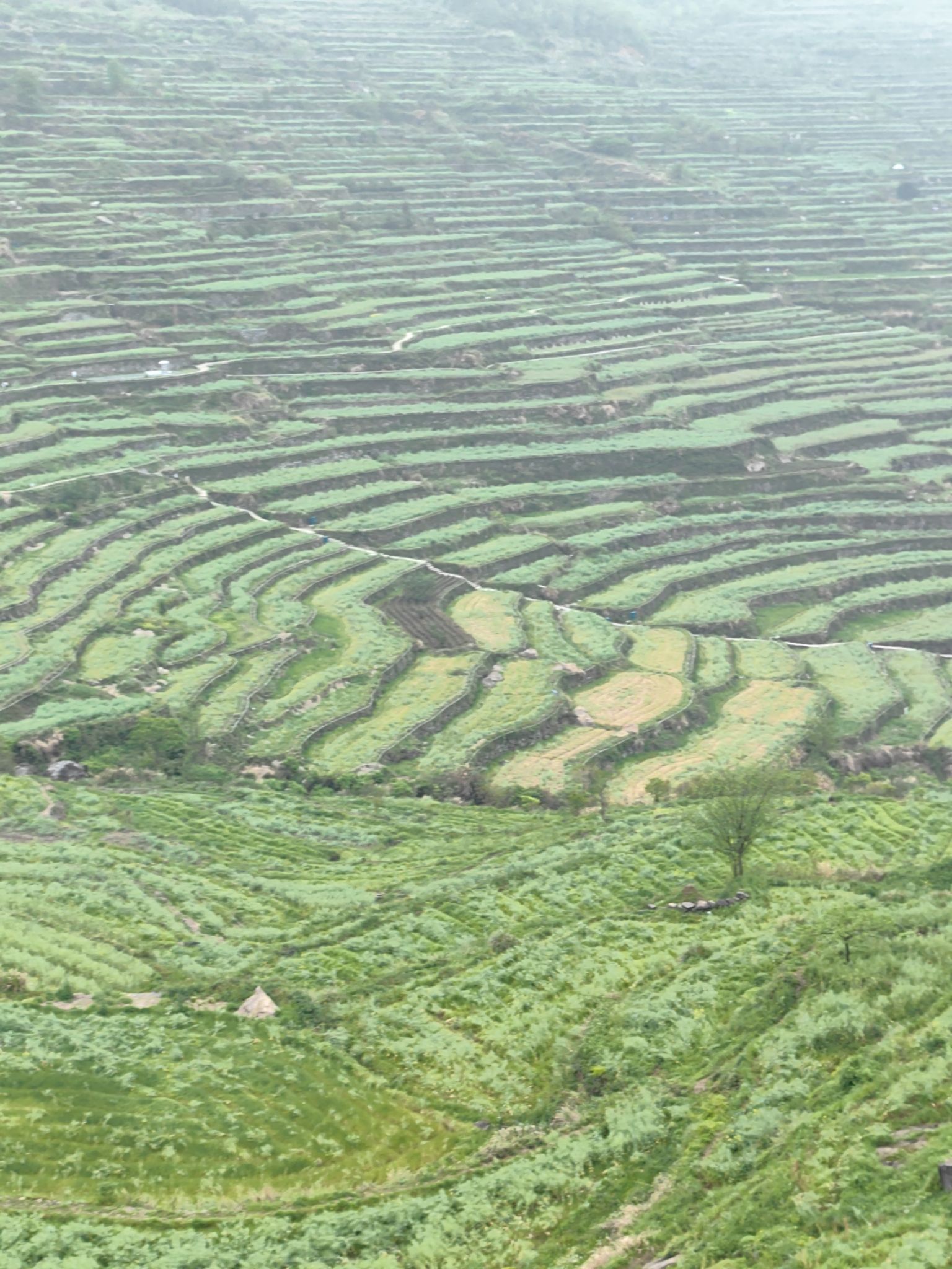覆卮山景区旅行图片 3