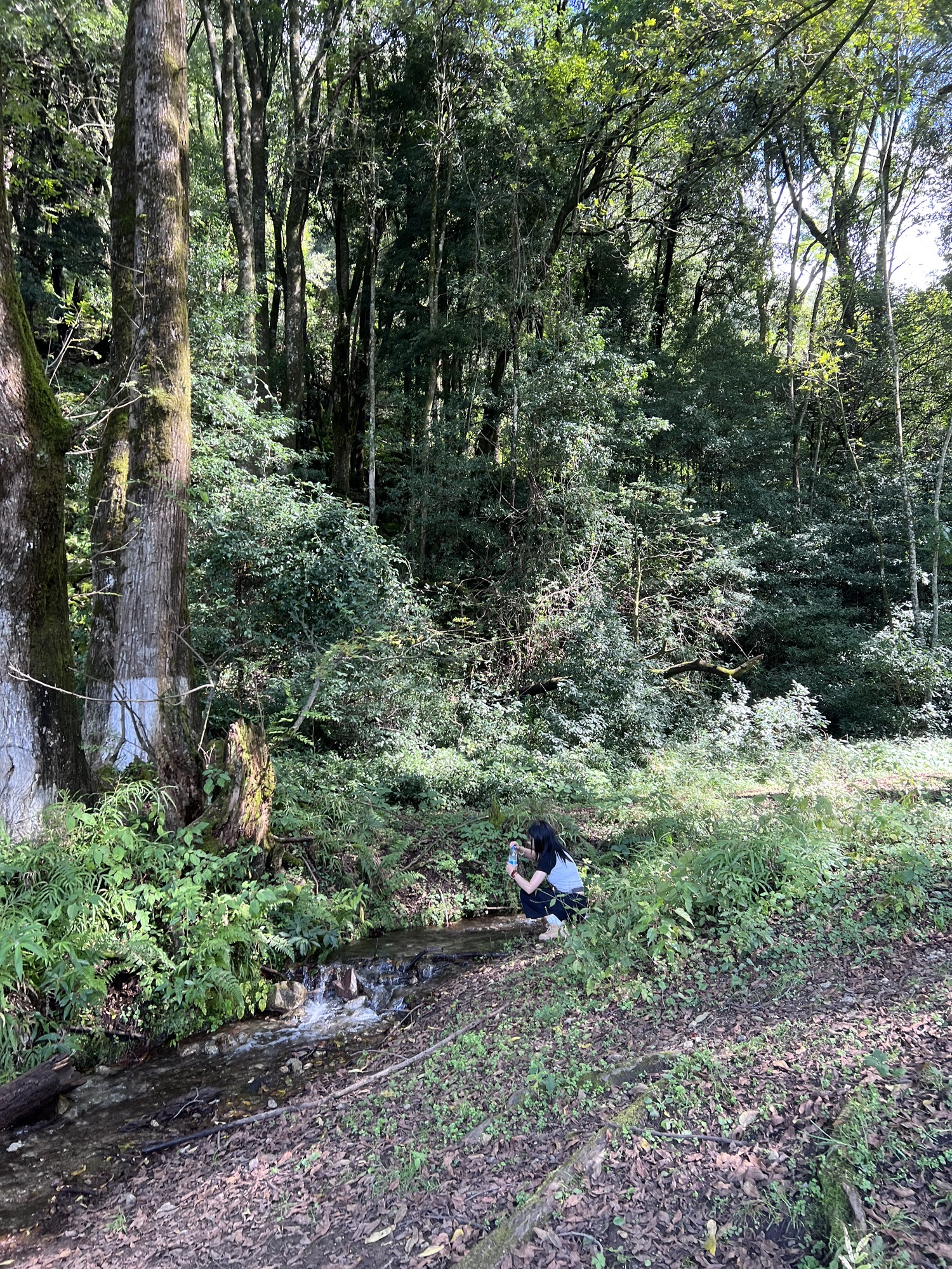 德昌黑龙潭旅行图片 3