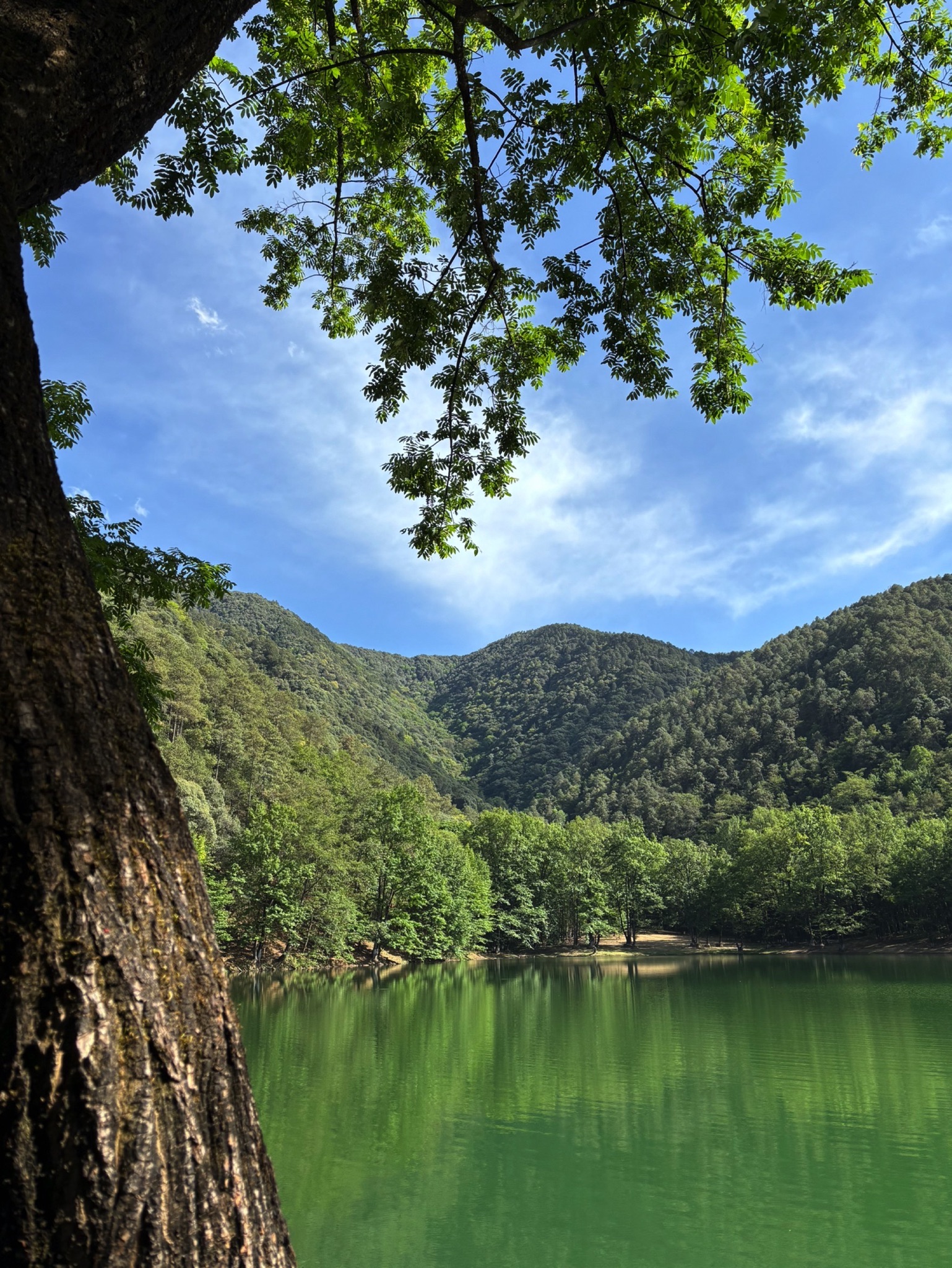 德昌黑龙潭旅行图片 1