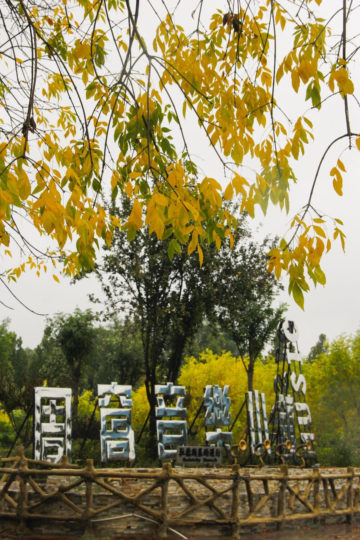 周窝音乐小镇休闲广场旅行图片 2