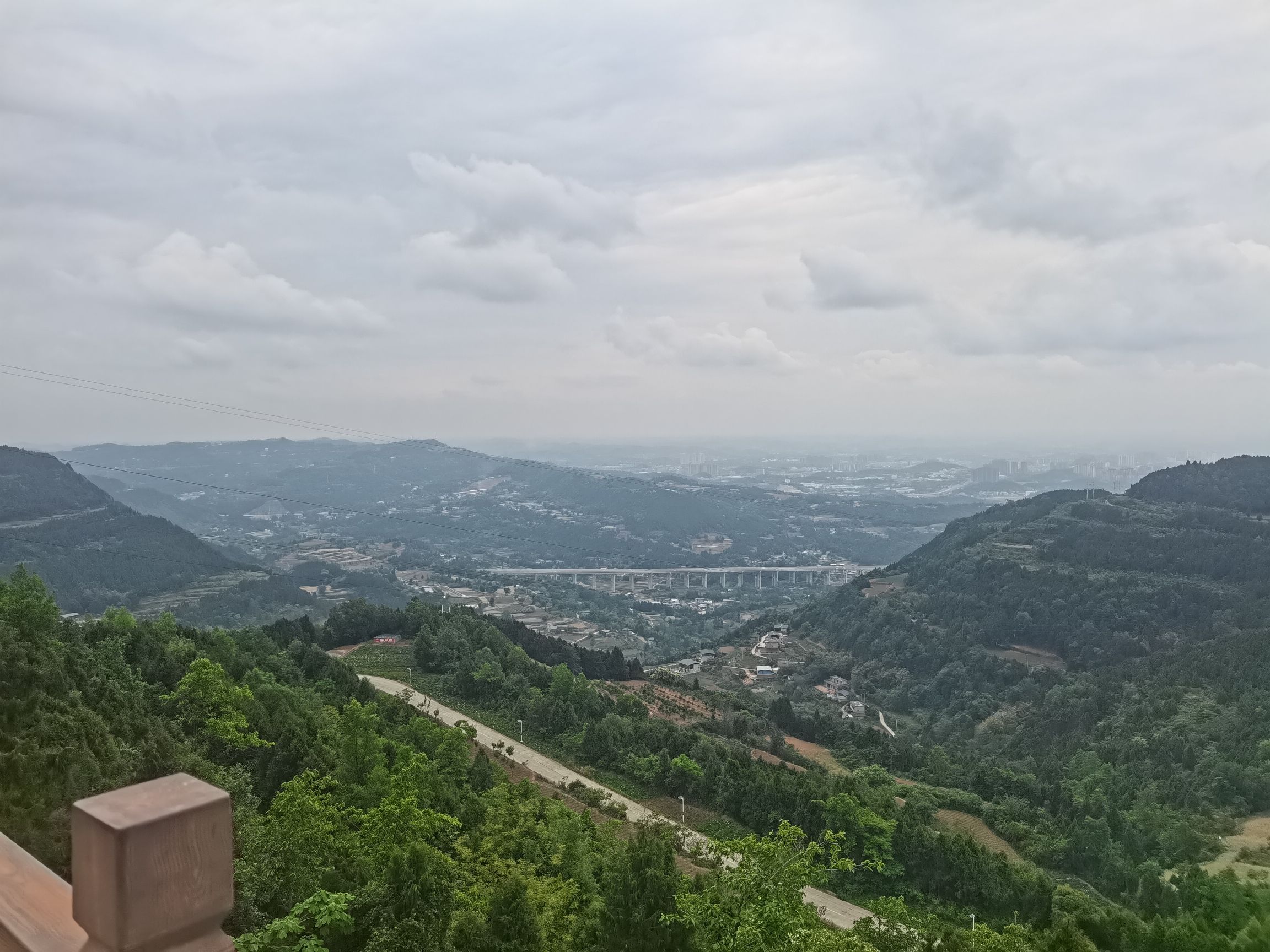 中江芍药谷旅行图片 1