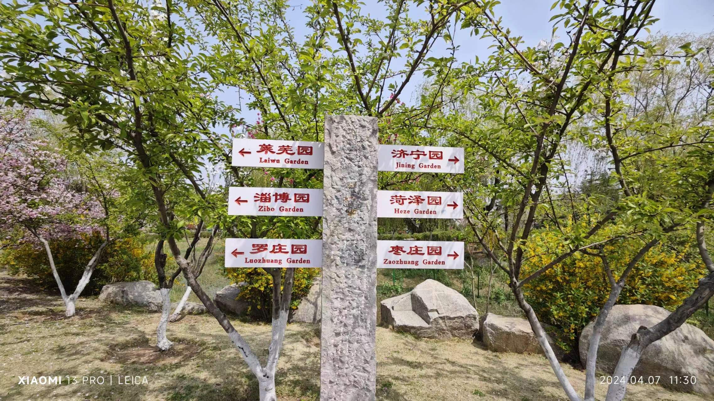 临沂园博园旅行图片