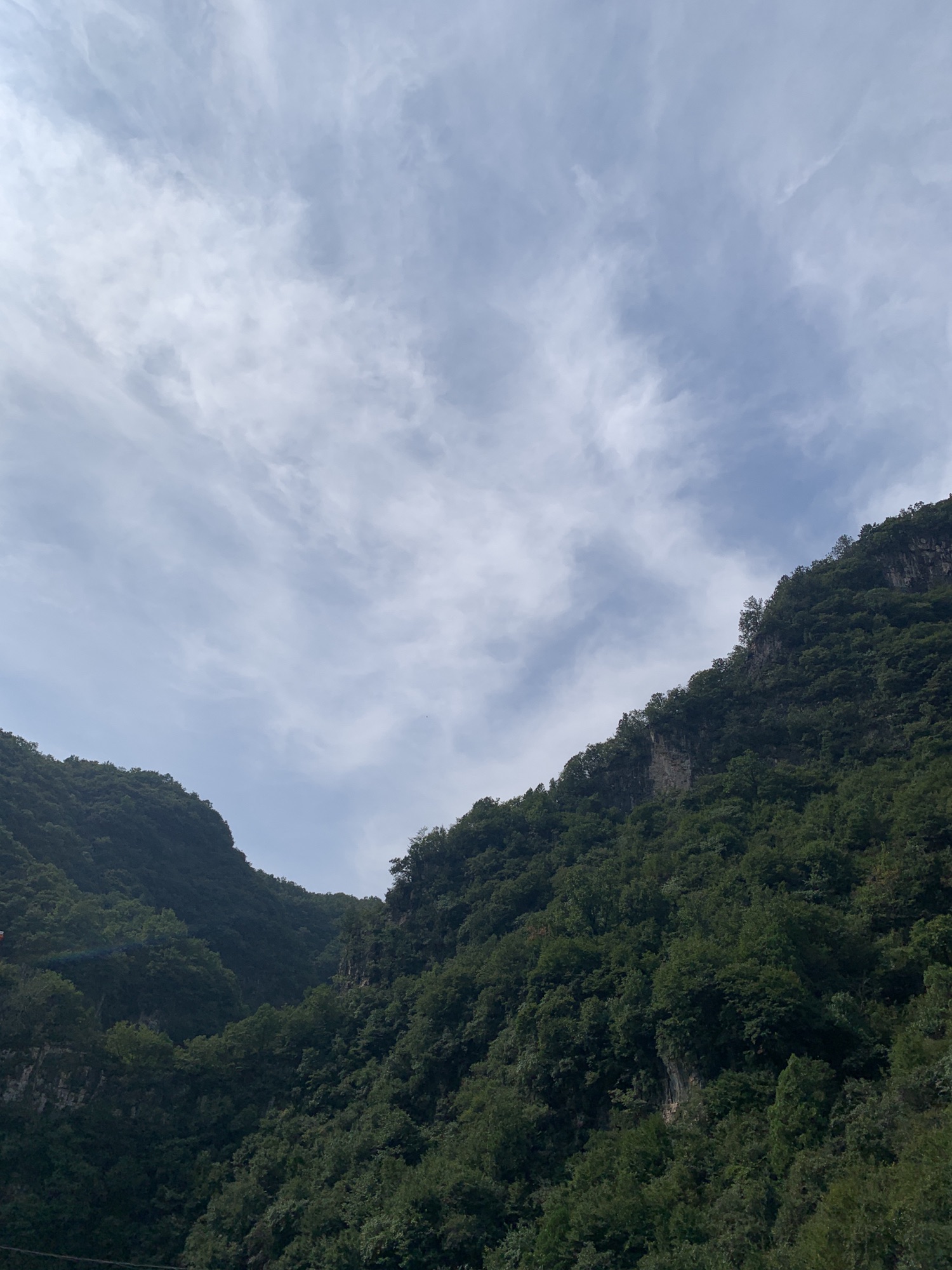 红豆杉大峡谷旅行图片 3