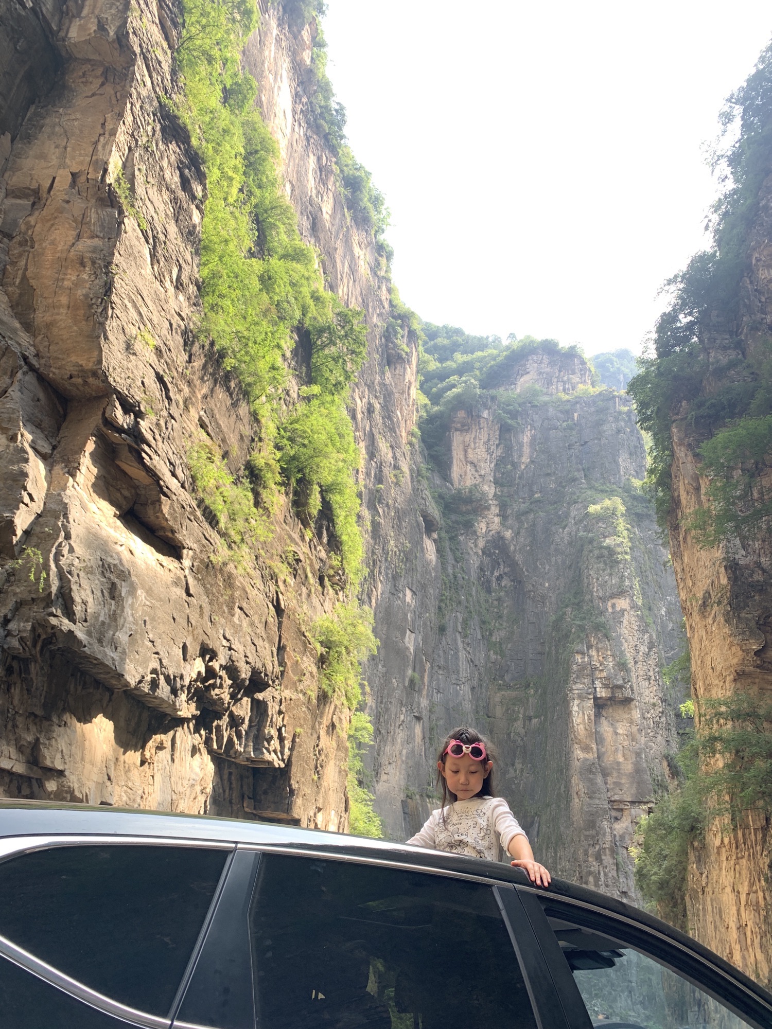 红豆杉大峡谷旅行图片 2