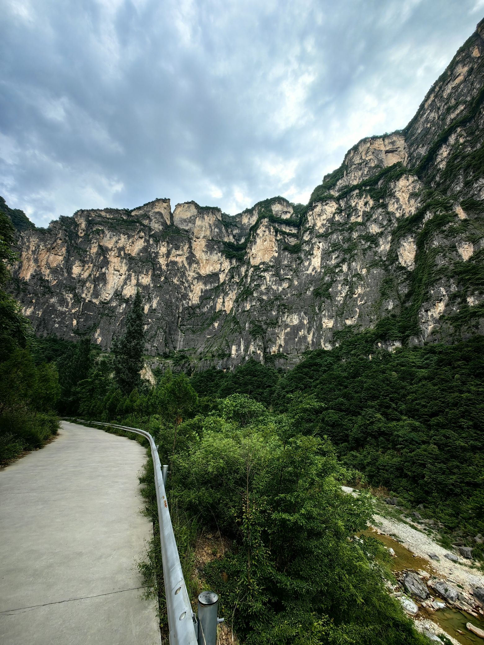 红豆杉大峡谷旅行图片 2