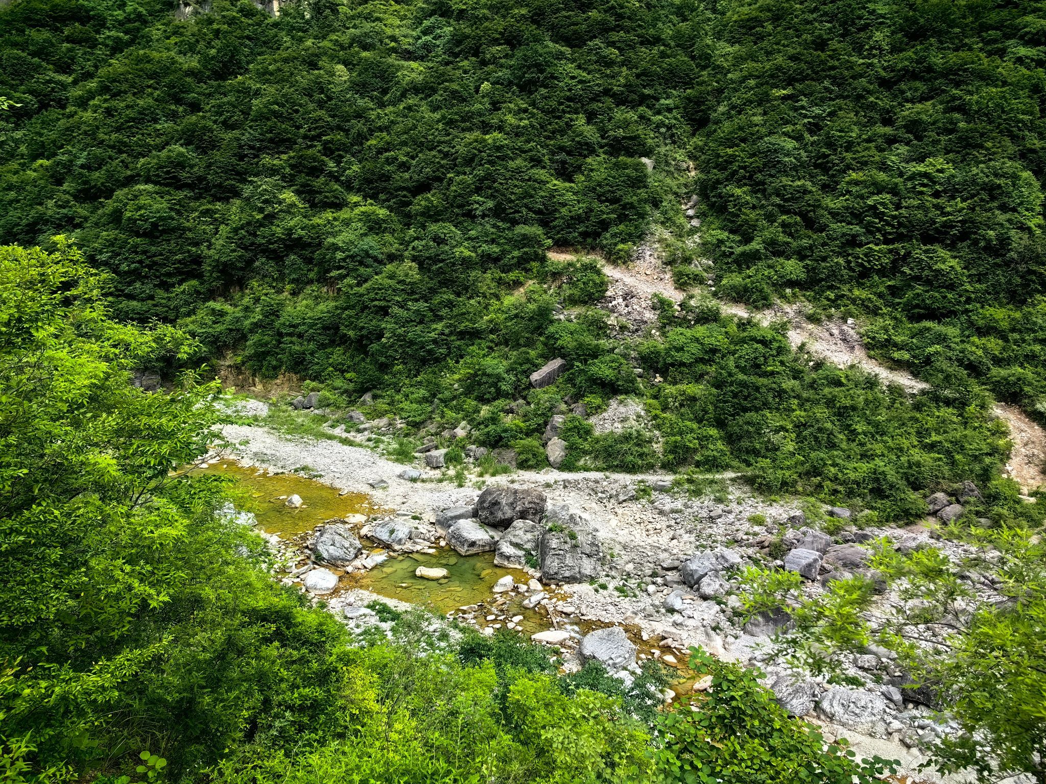 红豆杉大峡谷旅行图片 1