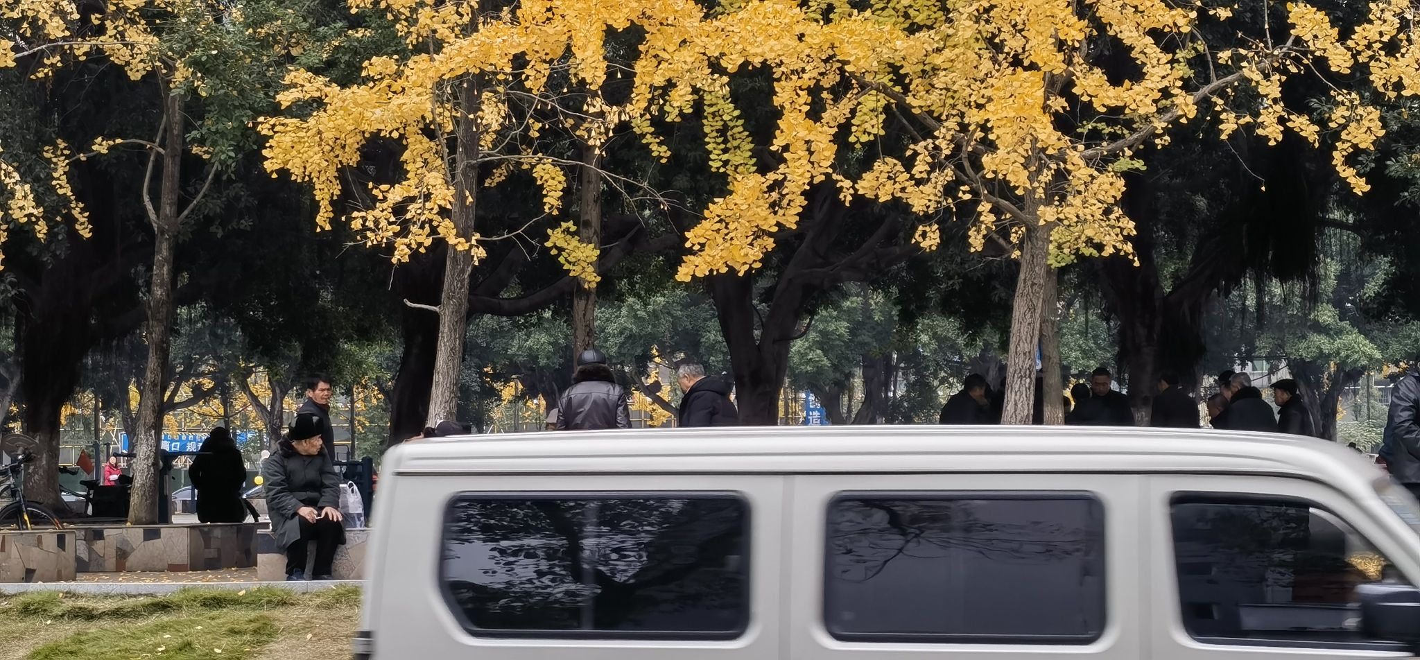 中国长寿城旅行图片 1