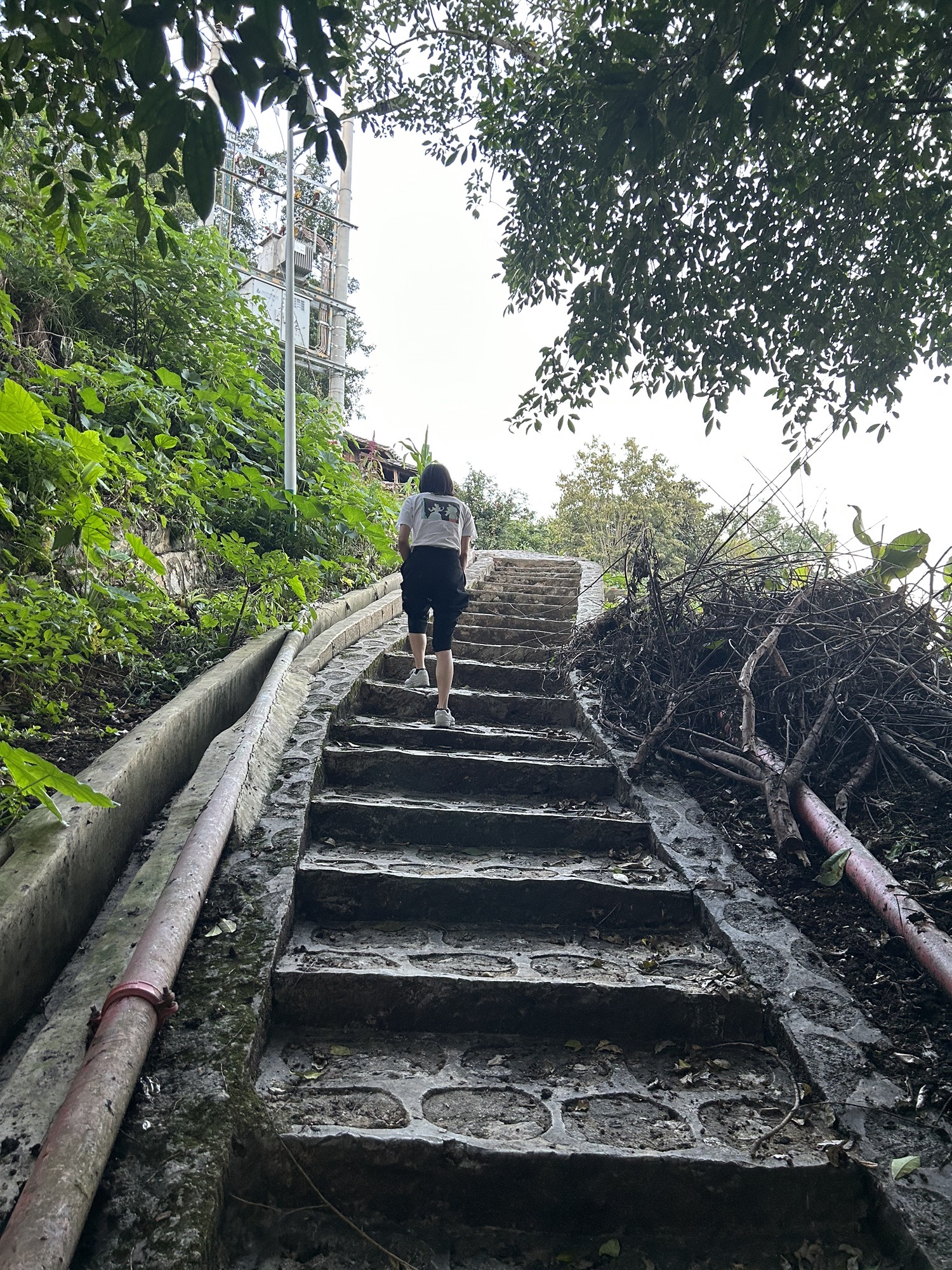 那岩古木寨旅行图片 2