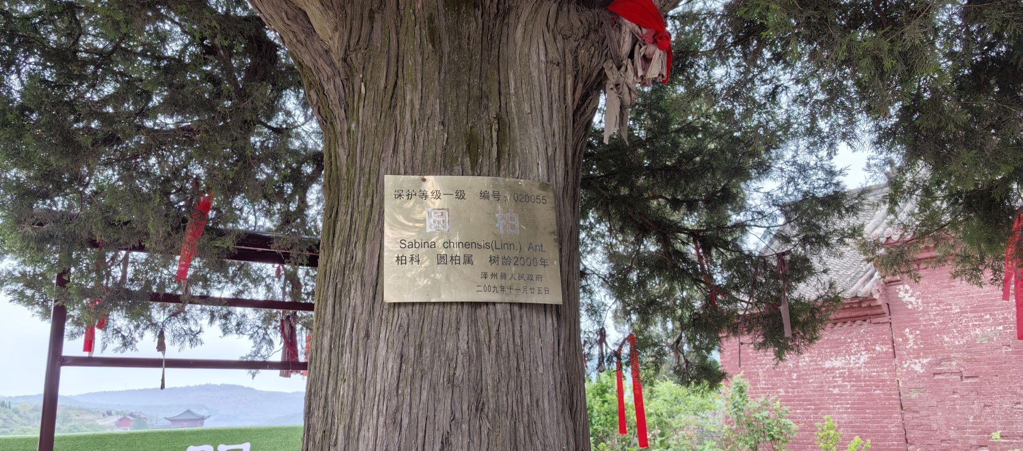 聚寿山景区旅行图片 3