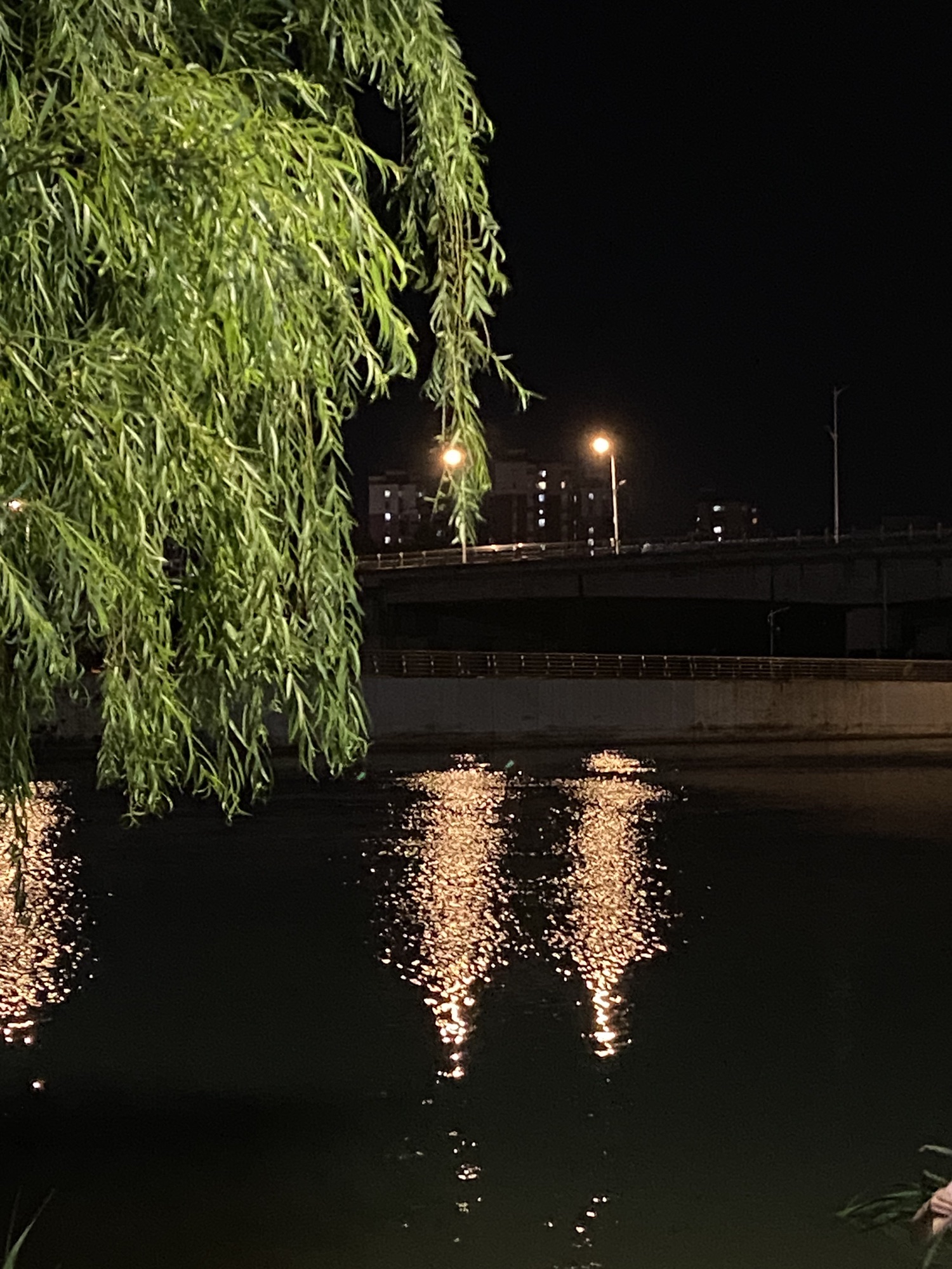 九和收藏馆旅行图片 3