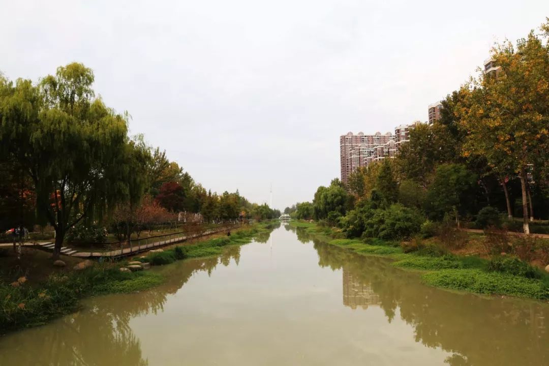 泗水河公园旅行图片 2