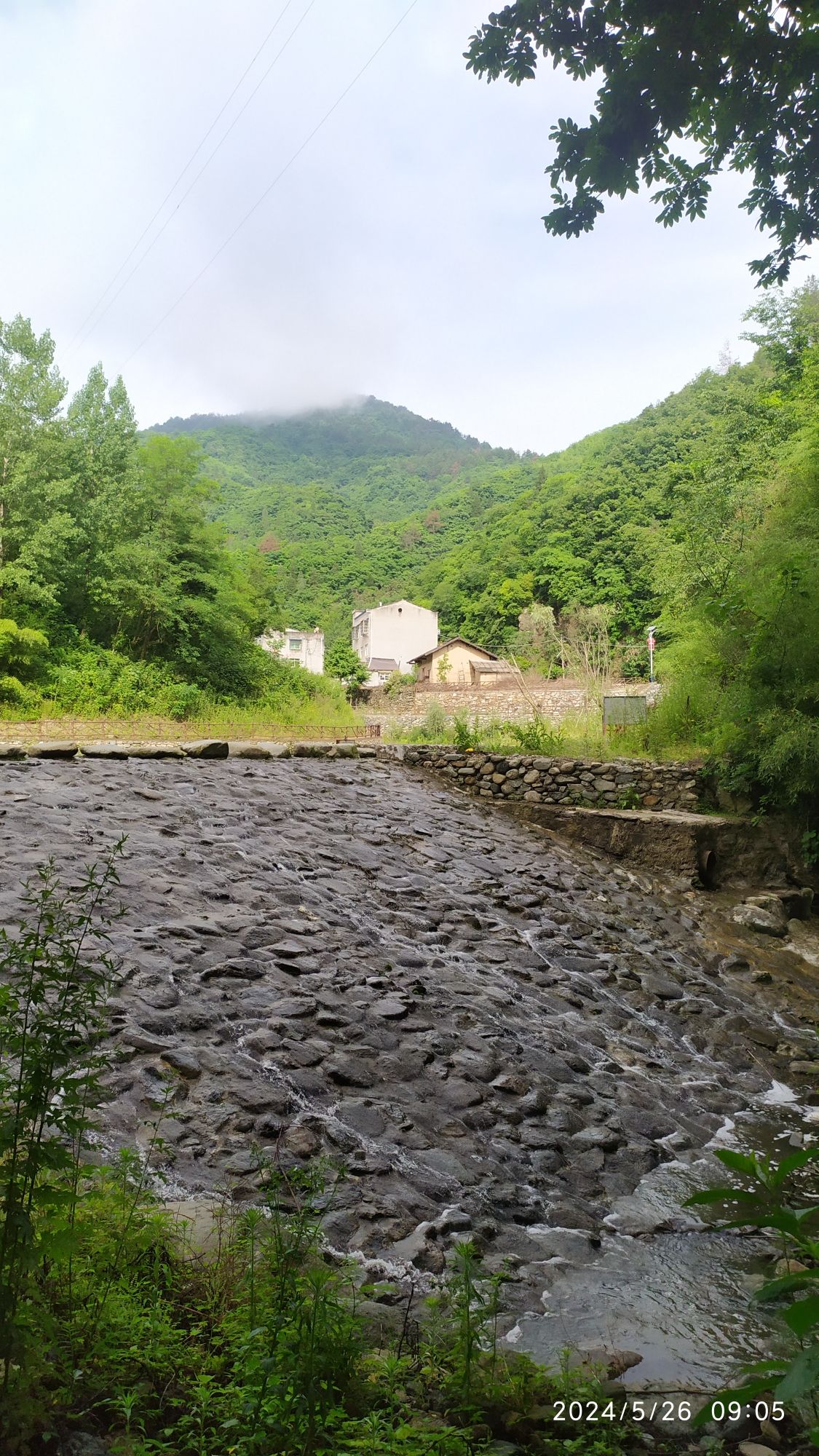 沧浪山国家森林公园旅行图片 3