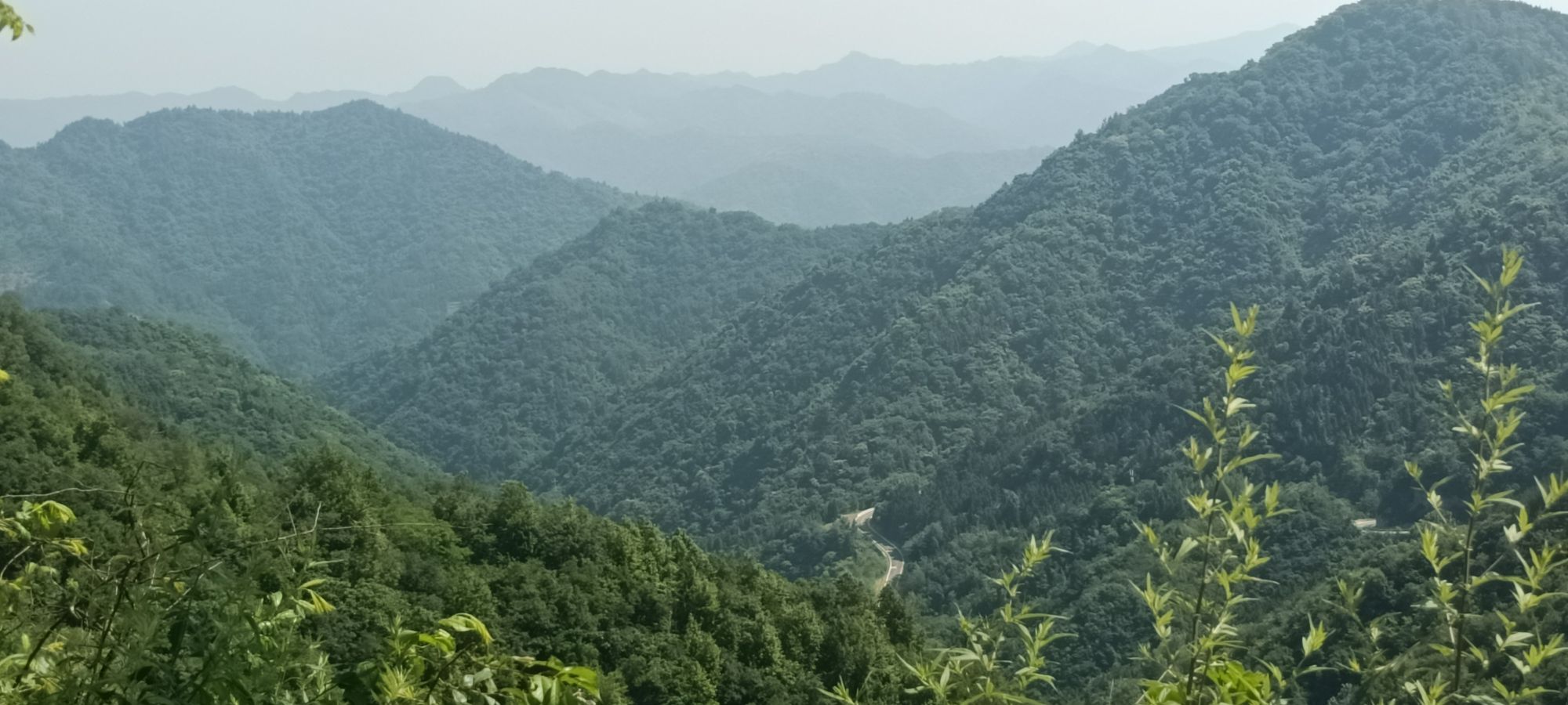 沧浪山国家森林公园旅行图片 3