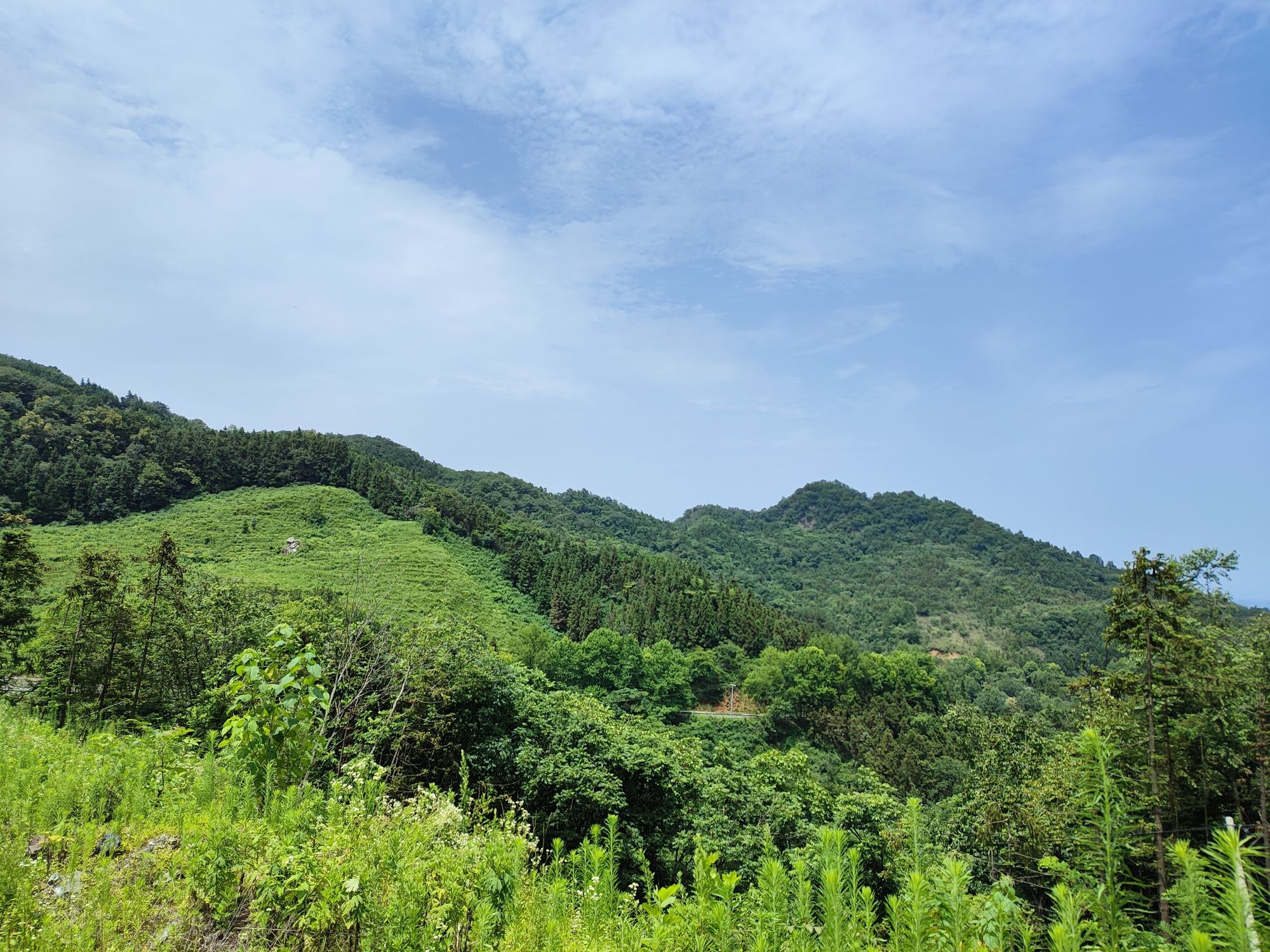 沧浪山国家森林公园旅行图片 3