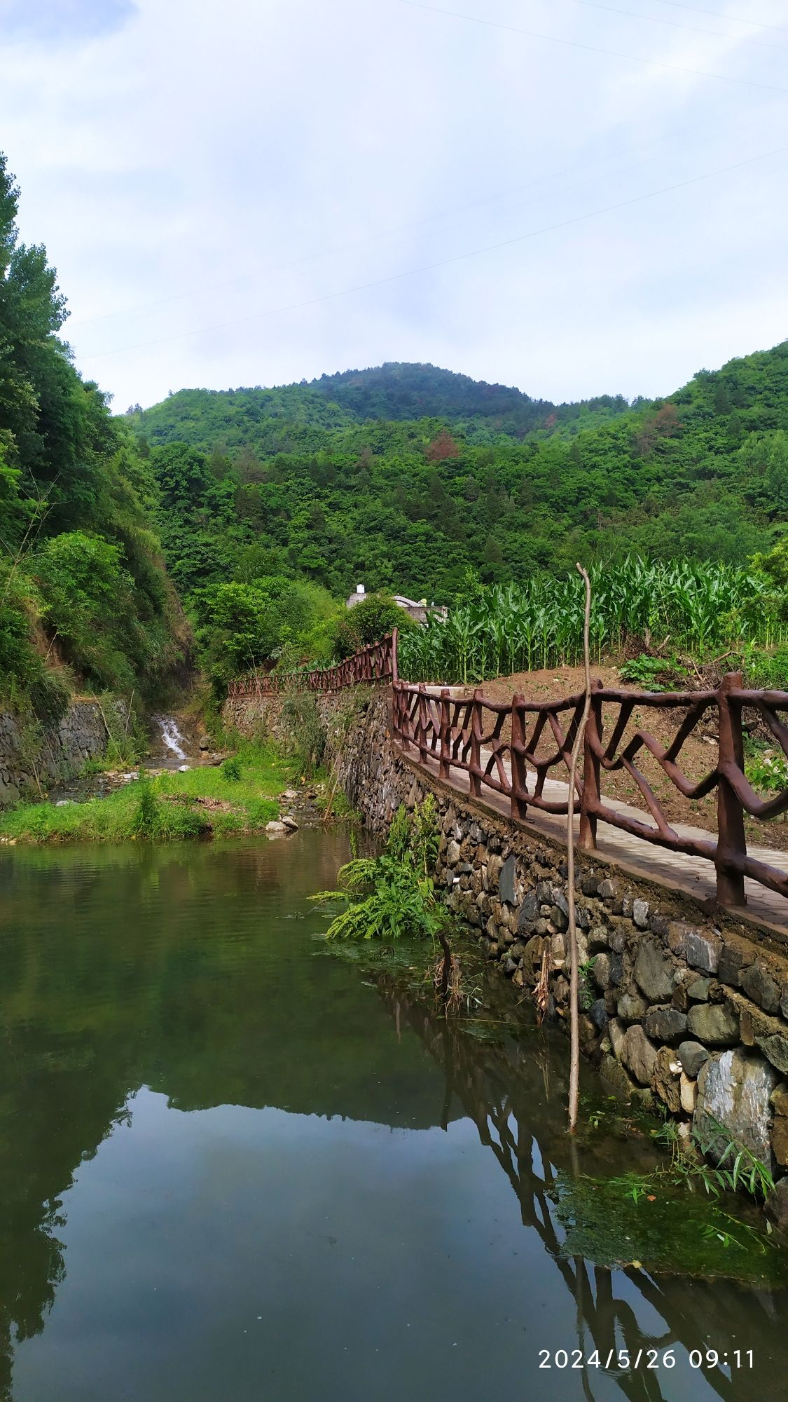 沧浪山国家森林公园旅行图片 2