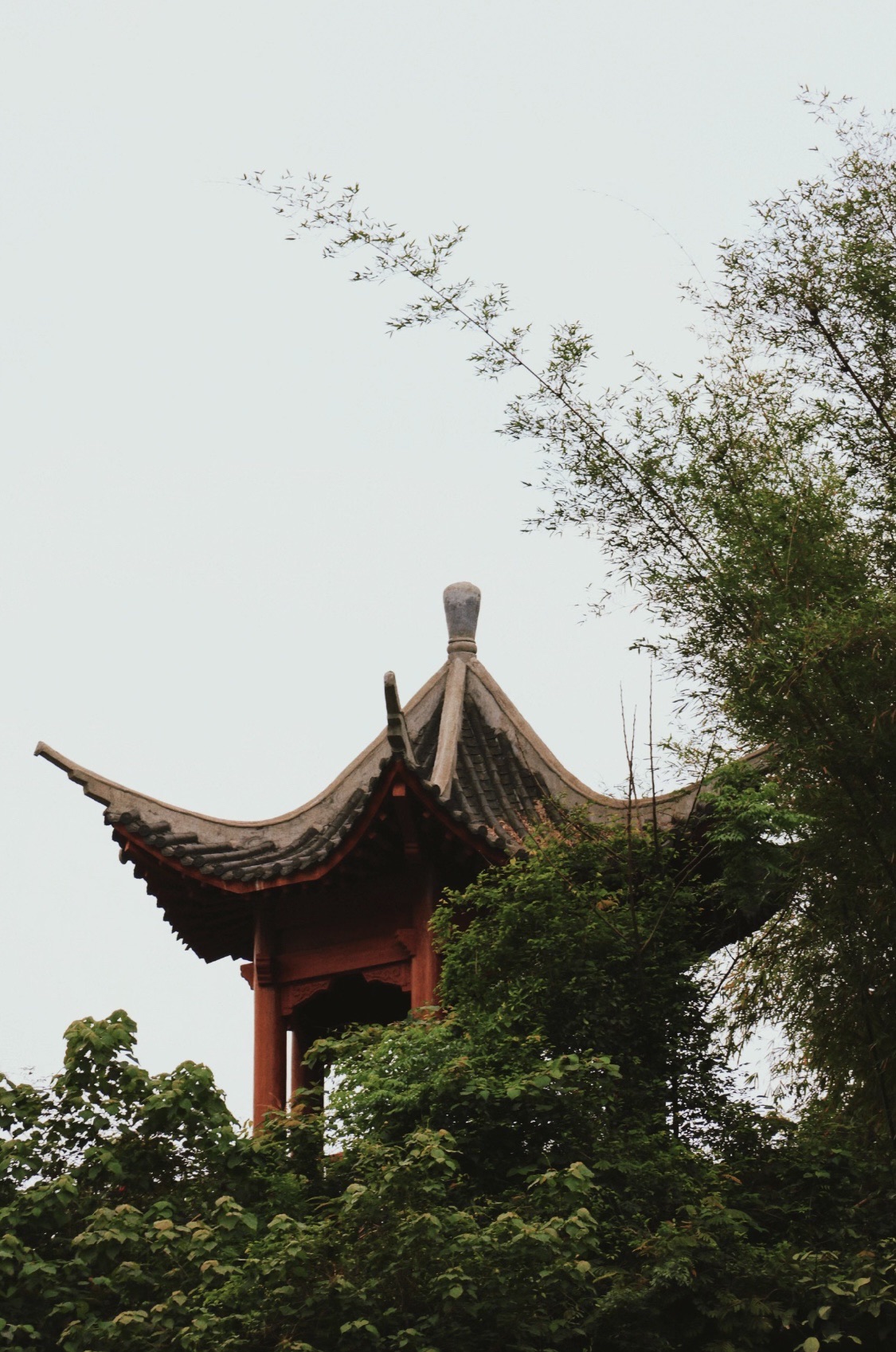 下枧河旅游景区旅行图片 3