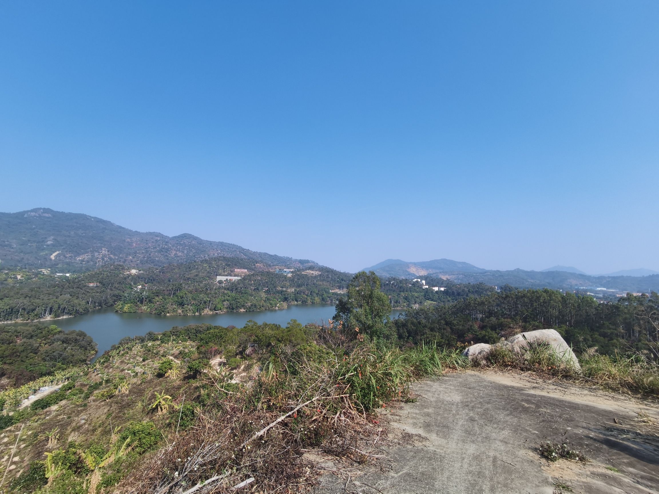 坂头森林公园旅行图片 3