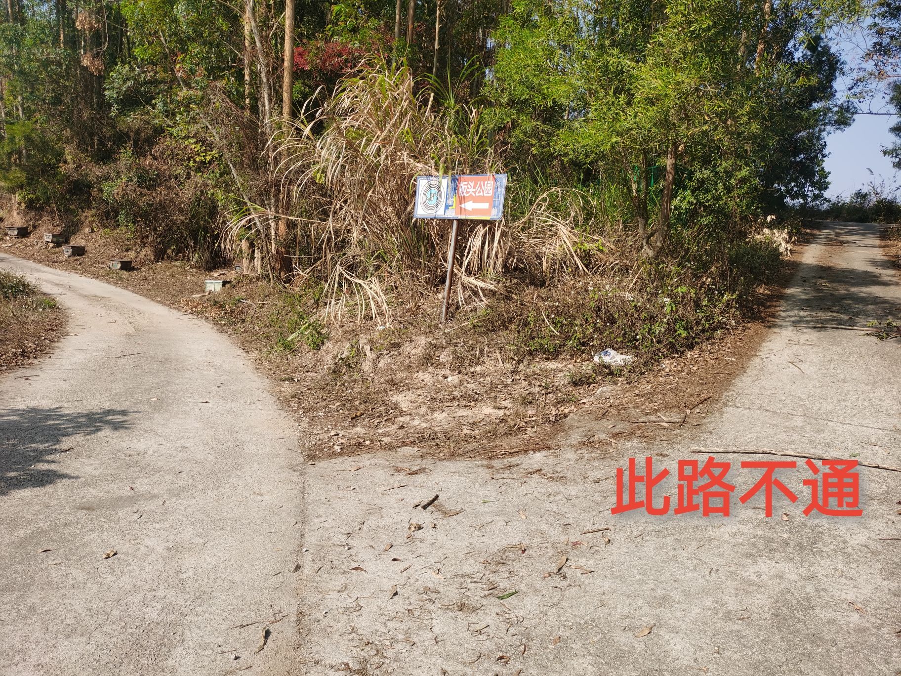 坂头森林公园旅行图片 2