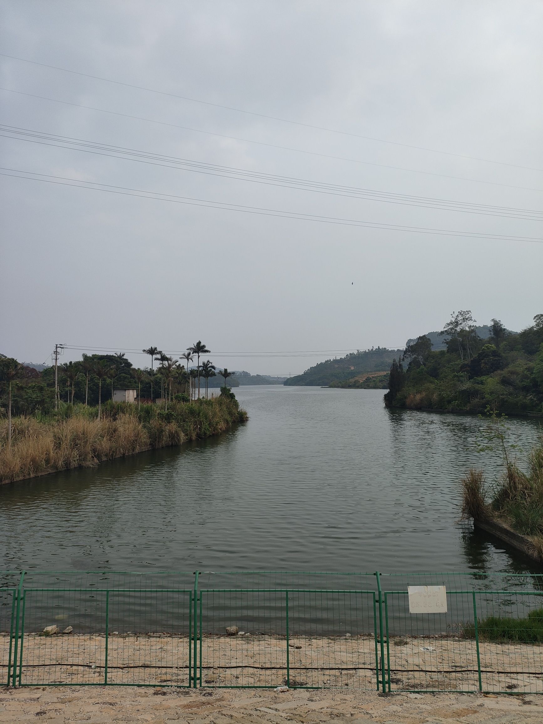 坂头森林公园旅行图片 3