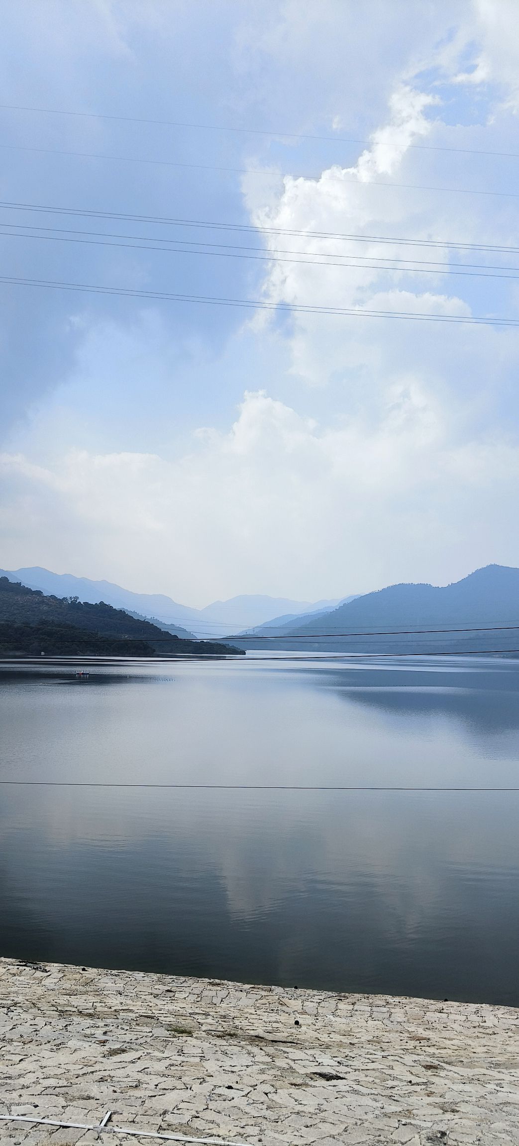 坂头森林公园旅行图片 1