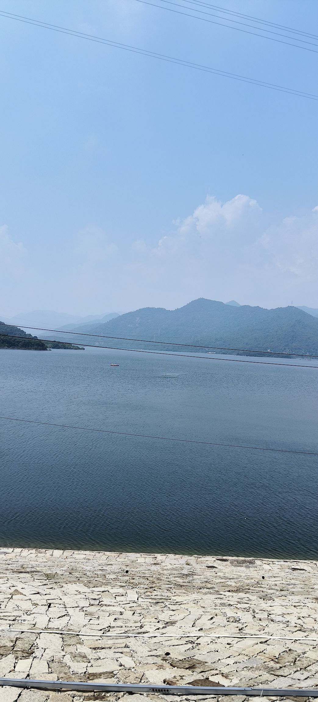 坂头森林公园旅行图片 3