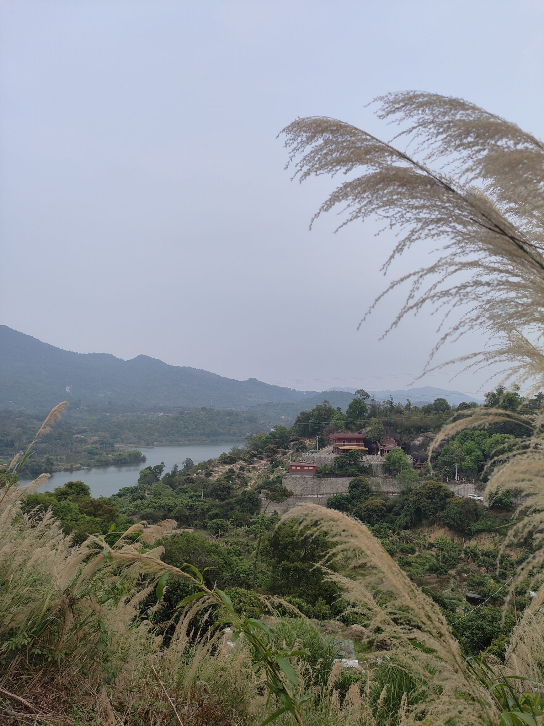 坂头森林公园旅行图片 1
