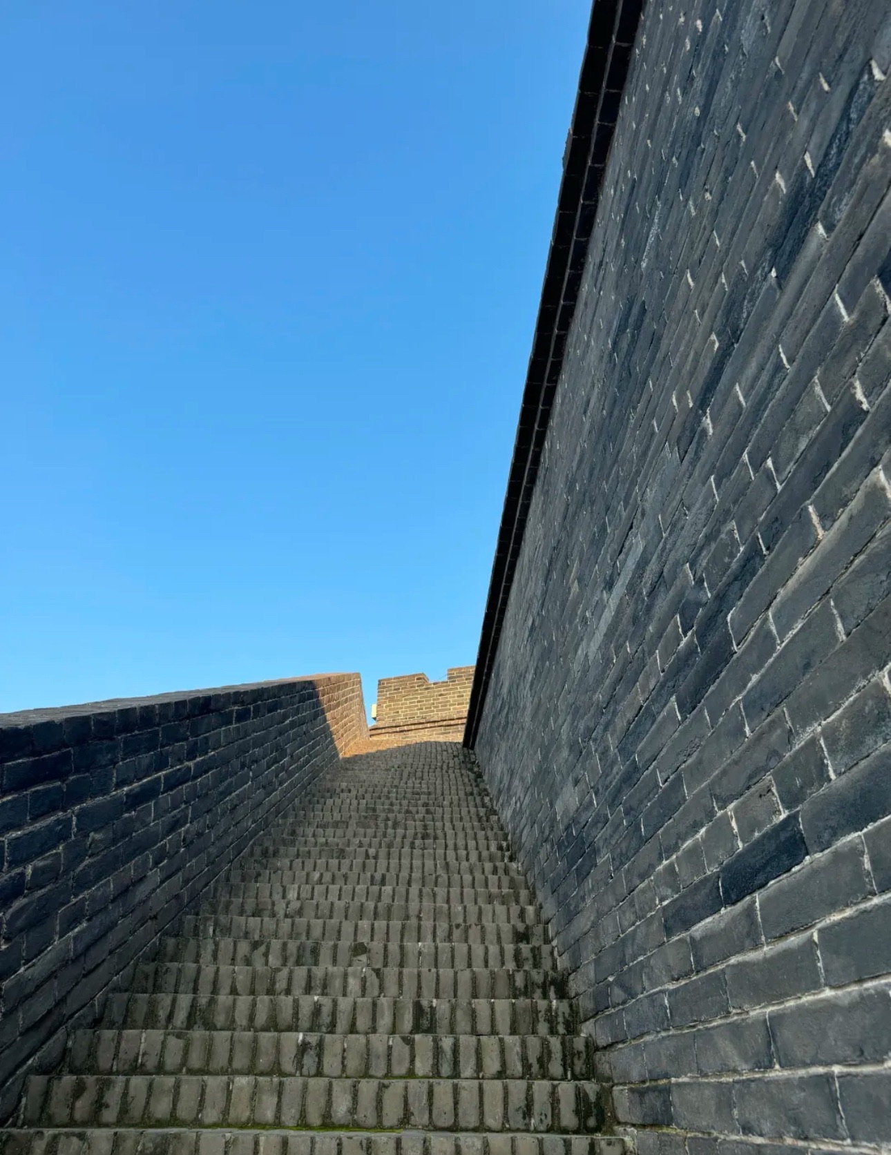 西水坡遗址旅行图片 2
