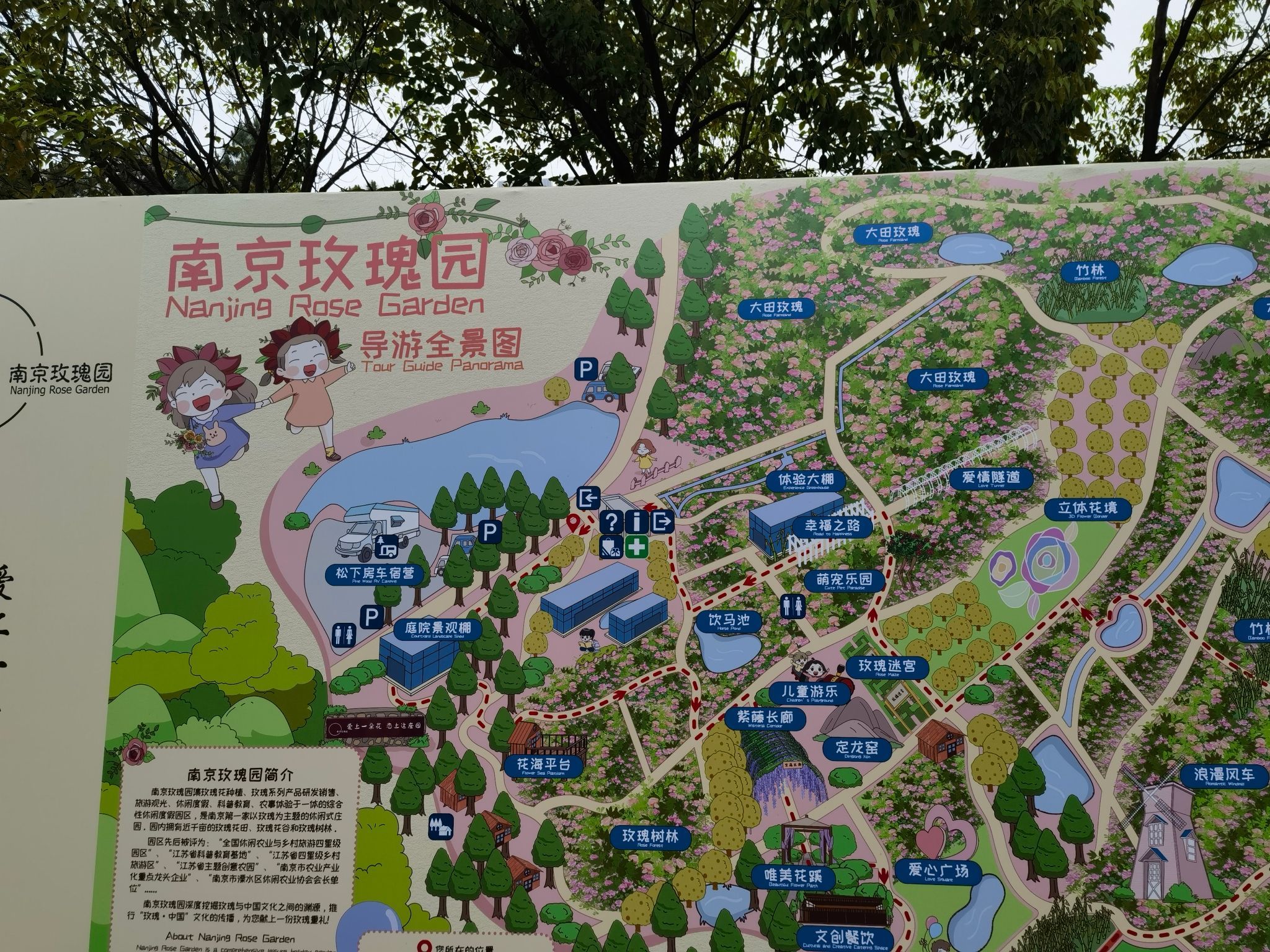 南京玫瑰园旅行图片 2