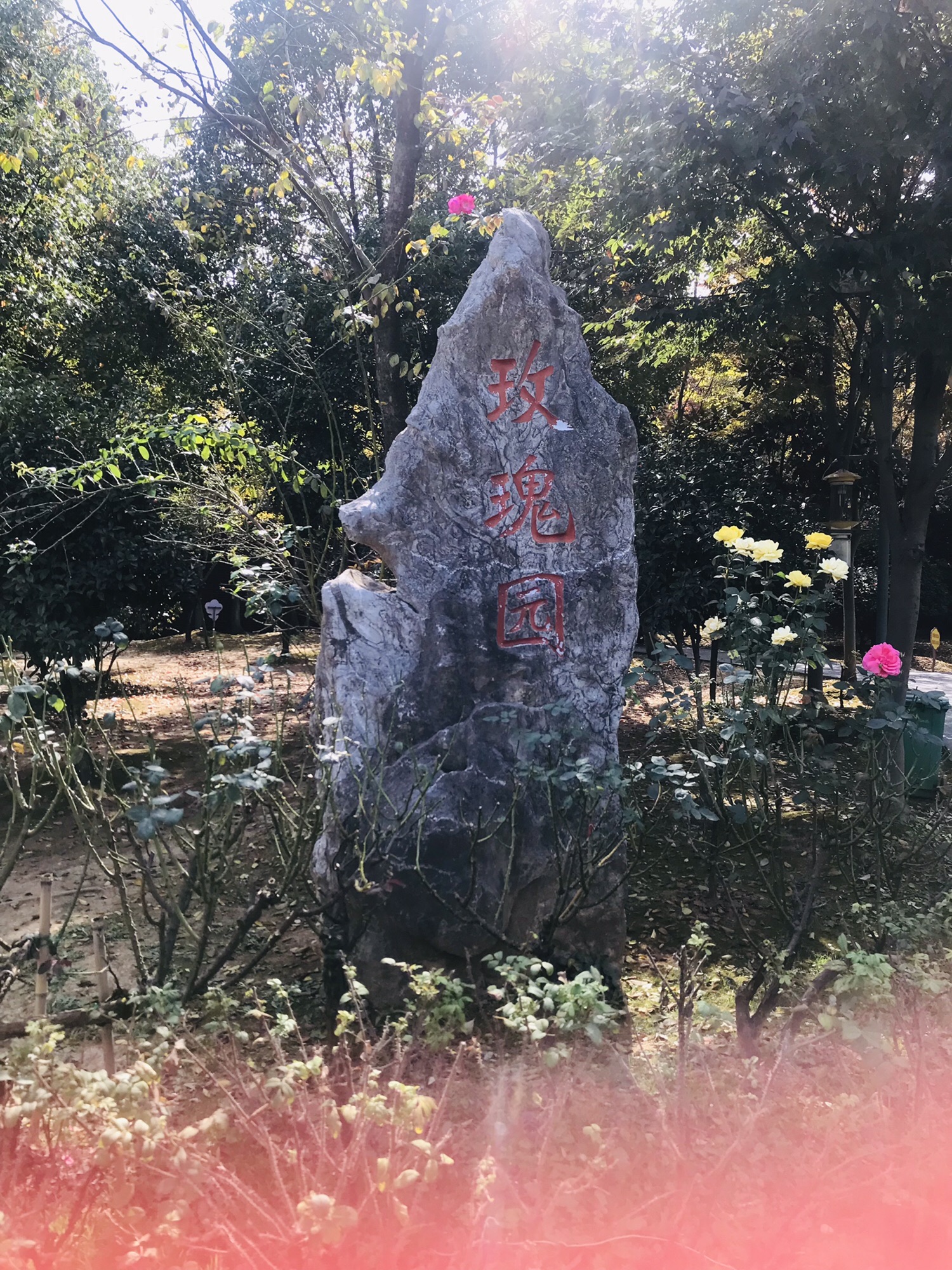 南京玫瑰园旅行图片 1