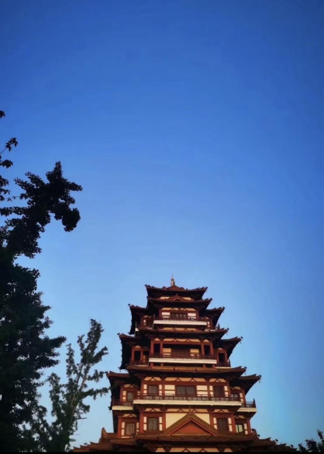 泗水阁旅行图片 1