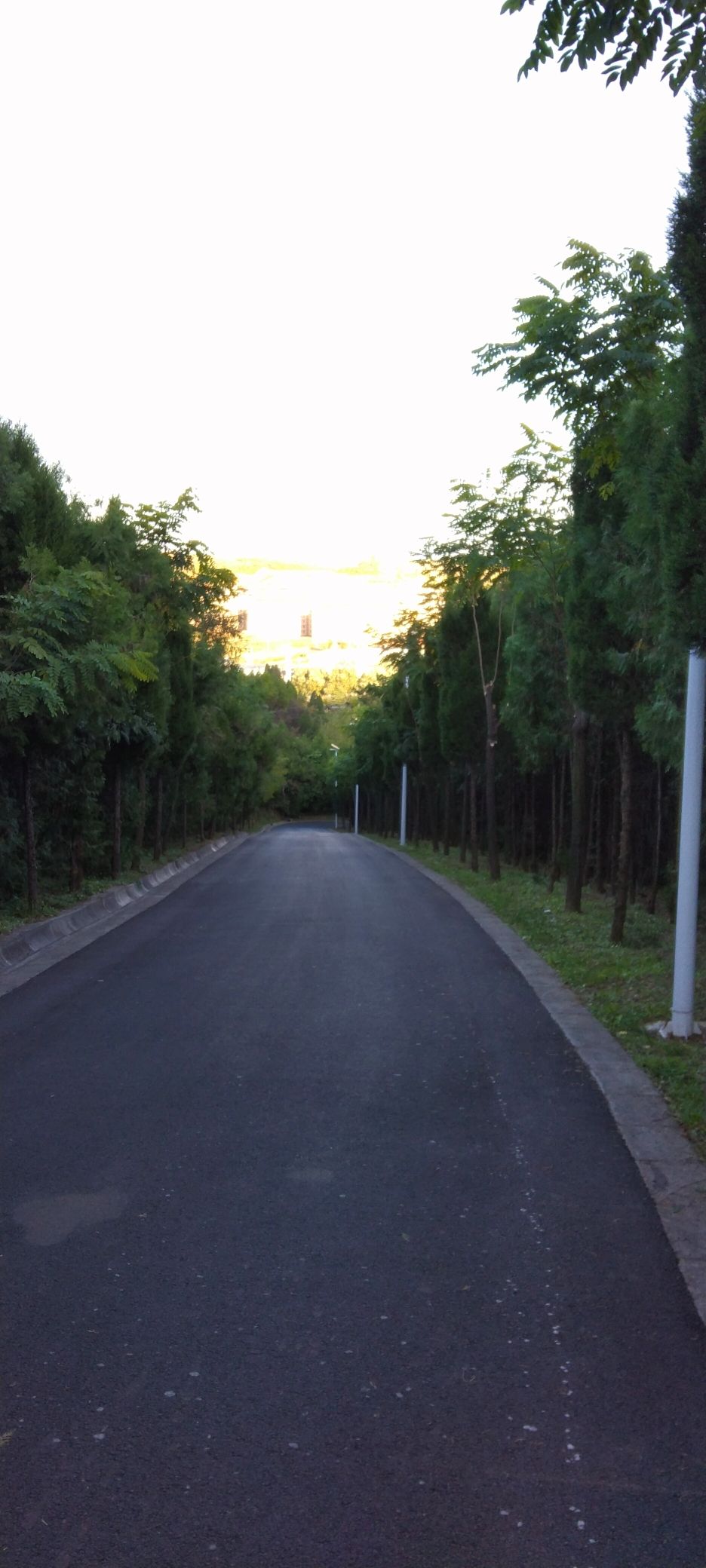 凤西生态公园旅行图片 1