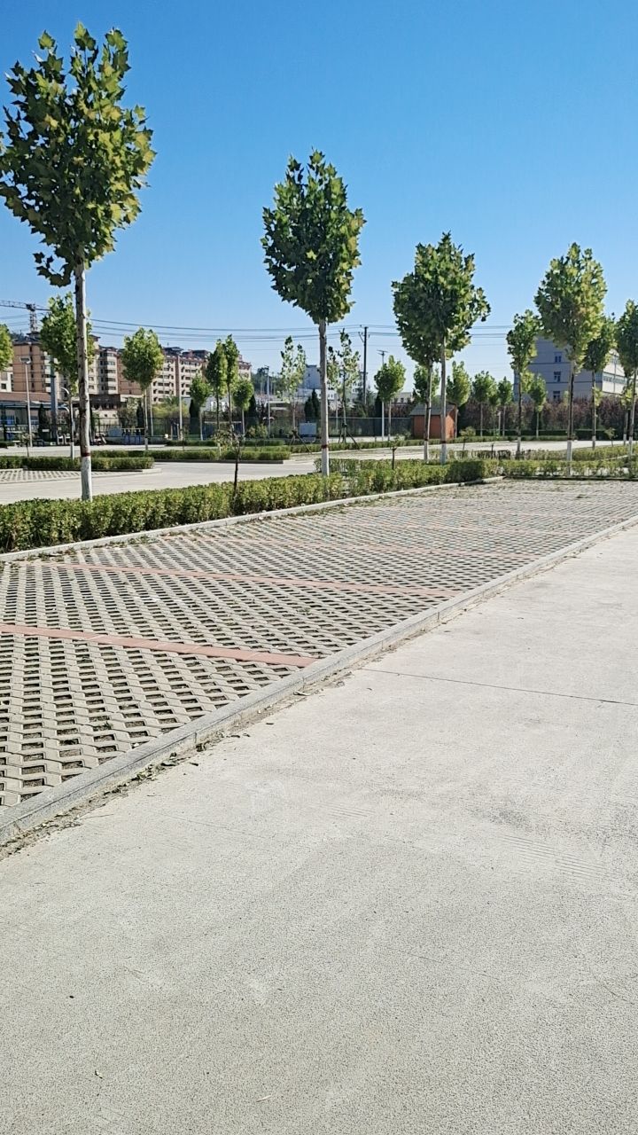 凤西生态公园旅行图片 3