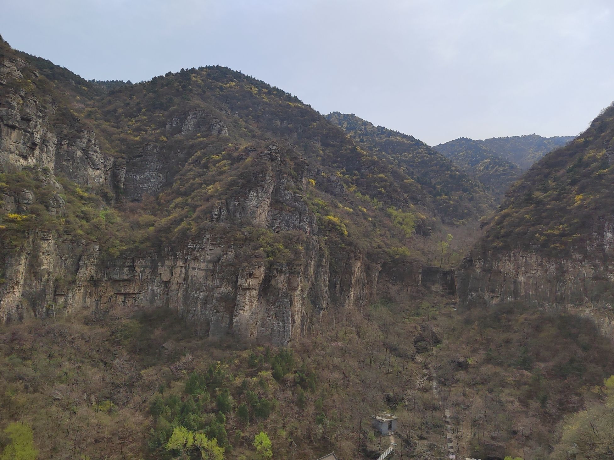 五龙洞国家森林公园旅行图片 3