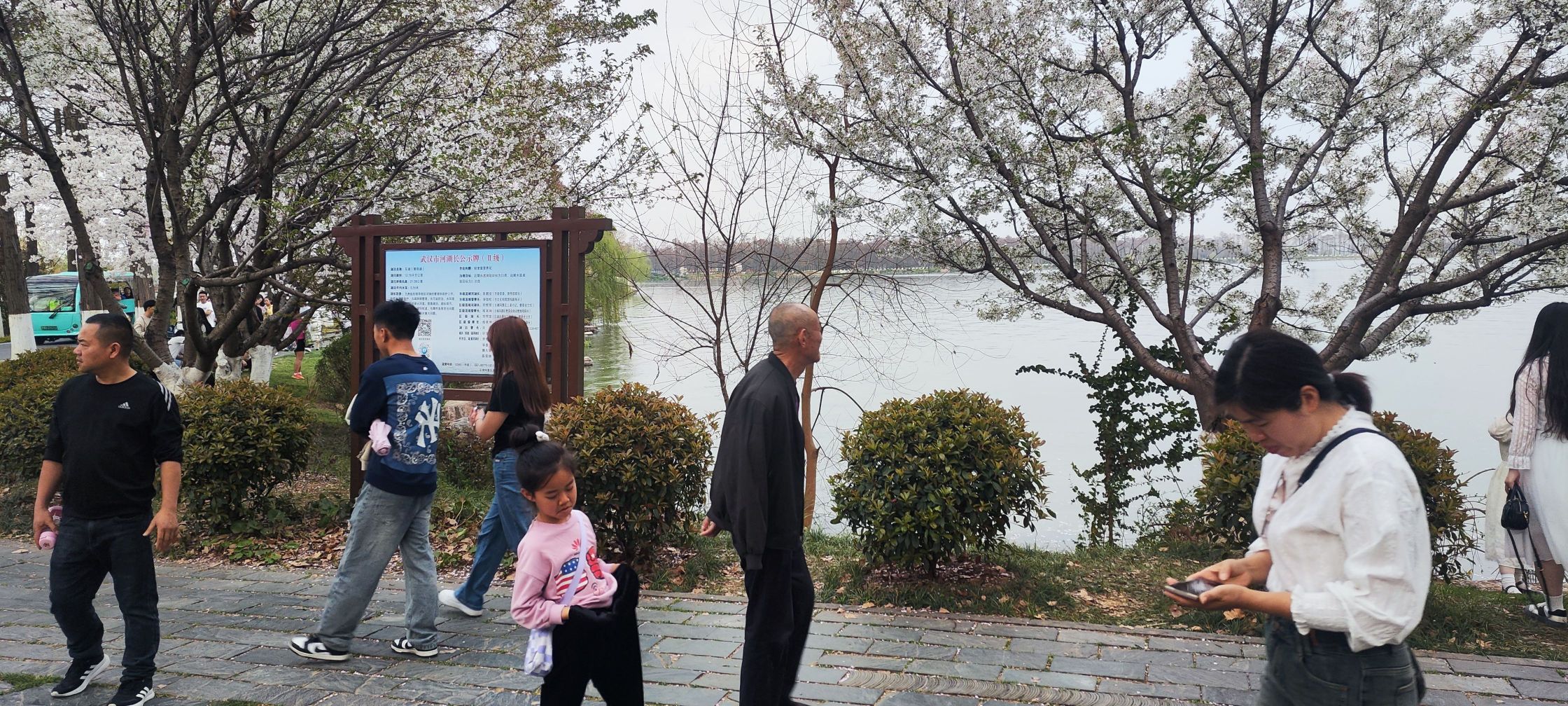 磨山揽翠旅行图片 3